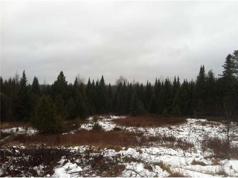 251 Myrick Road Troy, ME 04987 - Photo 11 of 11 Land.