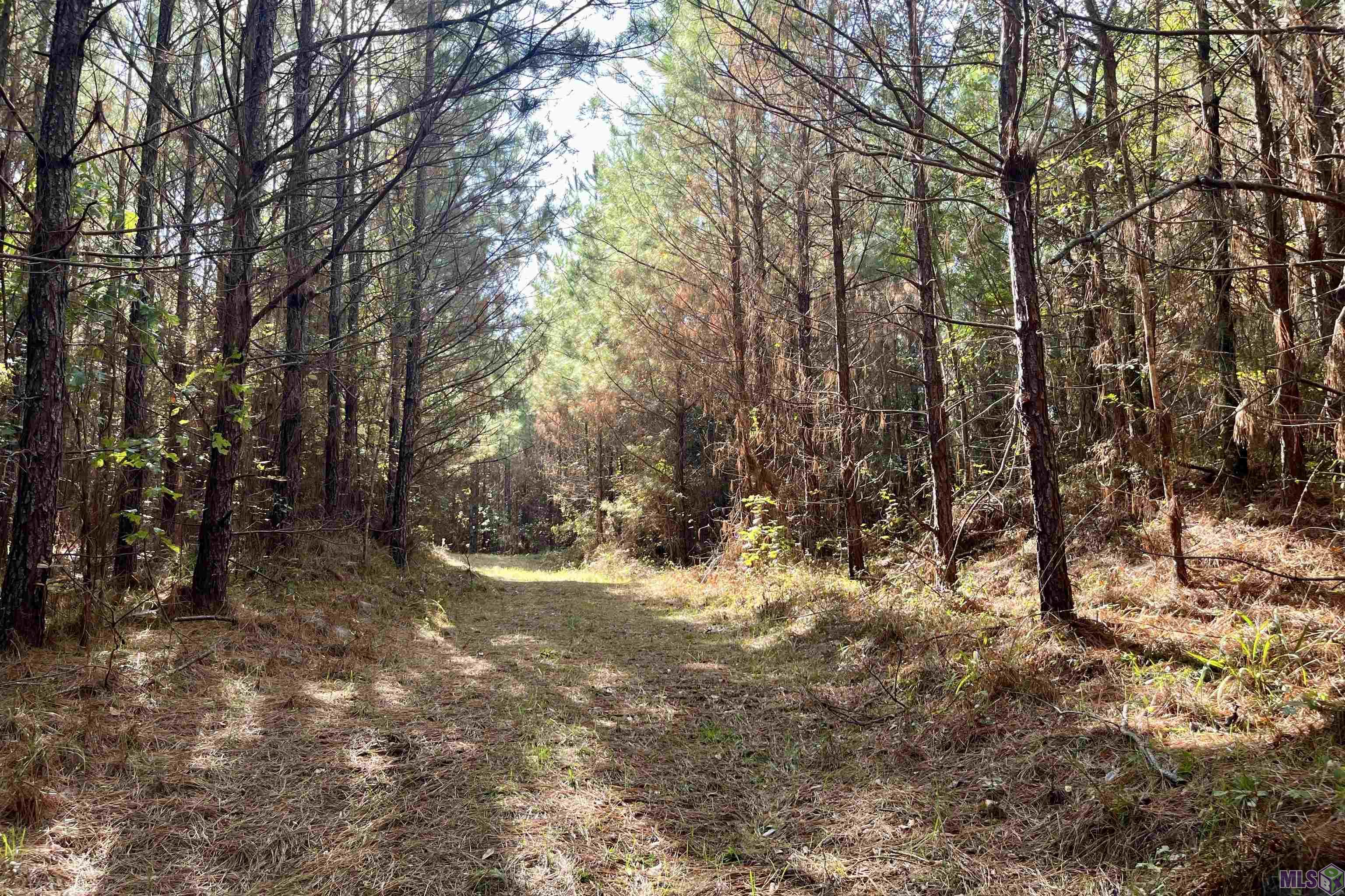 5 Stampley Road Roxie, MS 39661 - Photo 28 of 36