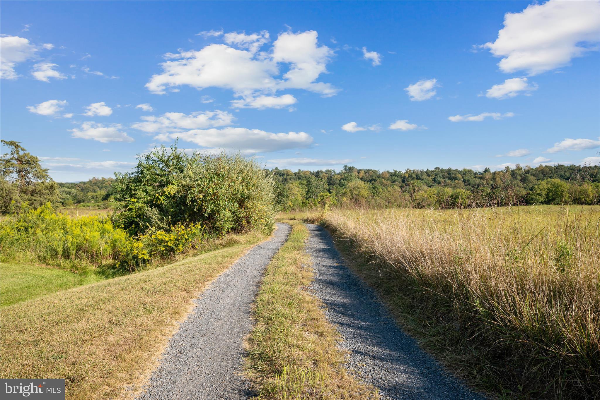 Ridge Hollow Road Edinburg, VA 22824 - Photo 3 of 17 Lot Landscape