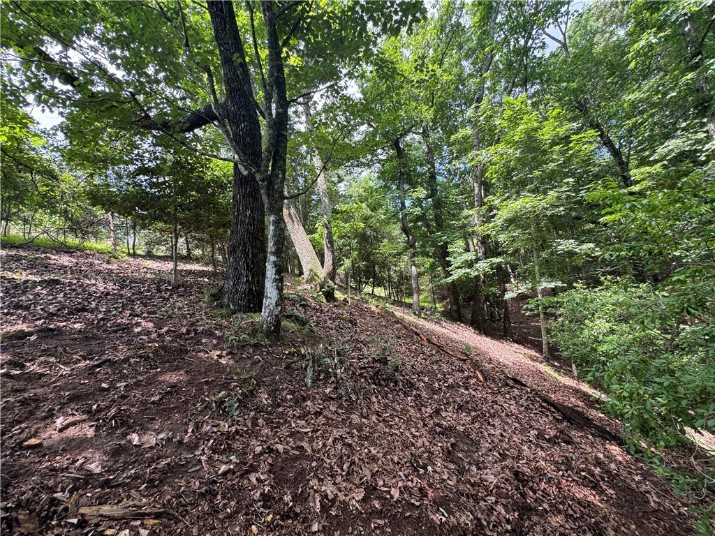 3.5-ac Ben Higgins Road Dahlonega, GA 30533 - Photo 14 of 21