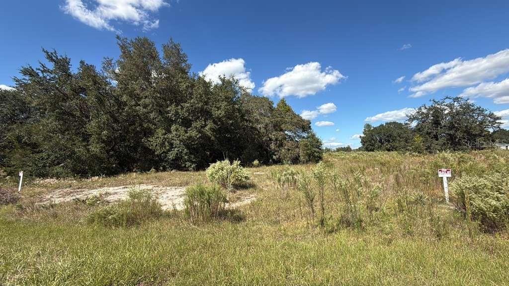 15 Southwest 105th Place Dunnellon, FL 34434 - Photo 1 of 3