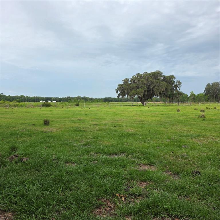 Vernon Dairy Spring Hill Spring Hill, FL 34610 - Photo 3 of 6 a view of a big yard with an trees