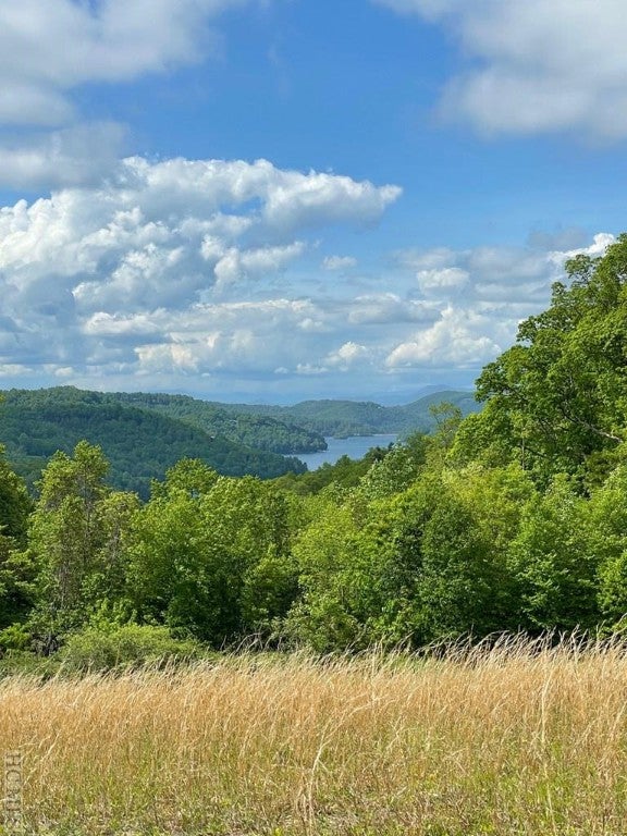 Lot 3 High Meadow Road Cullowhee, NC 28723 - Photo 8 of 20 Gallery Image 8