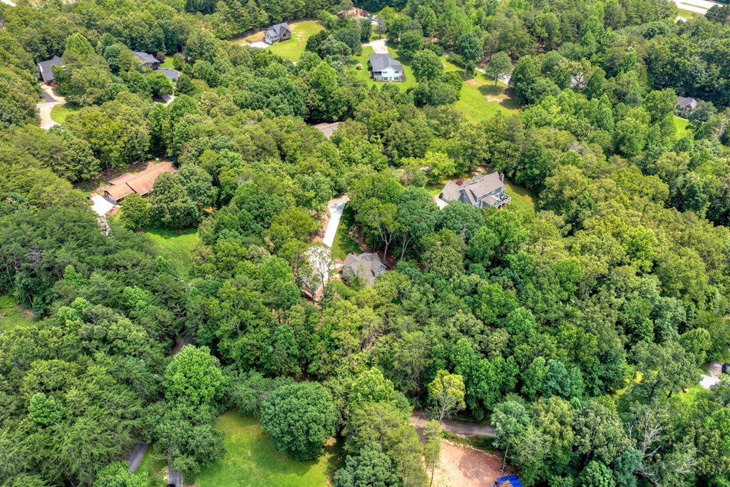 646 High Country Crossing Morganton, GA 30560 - Photo 48 of 53