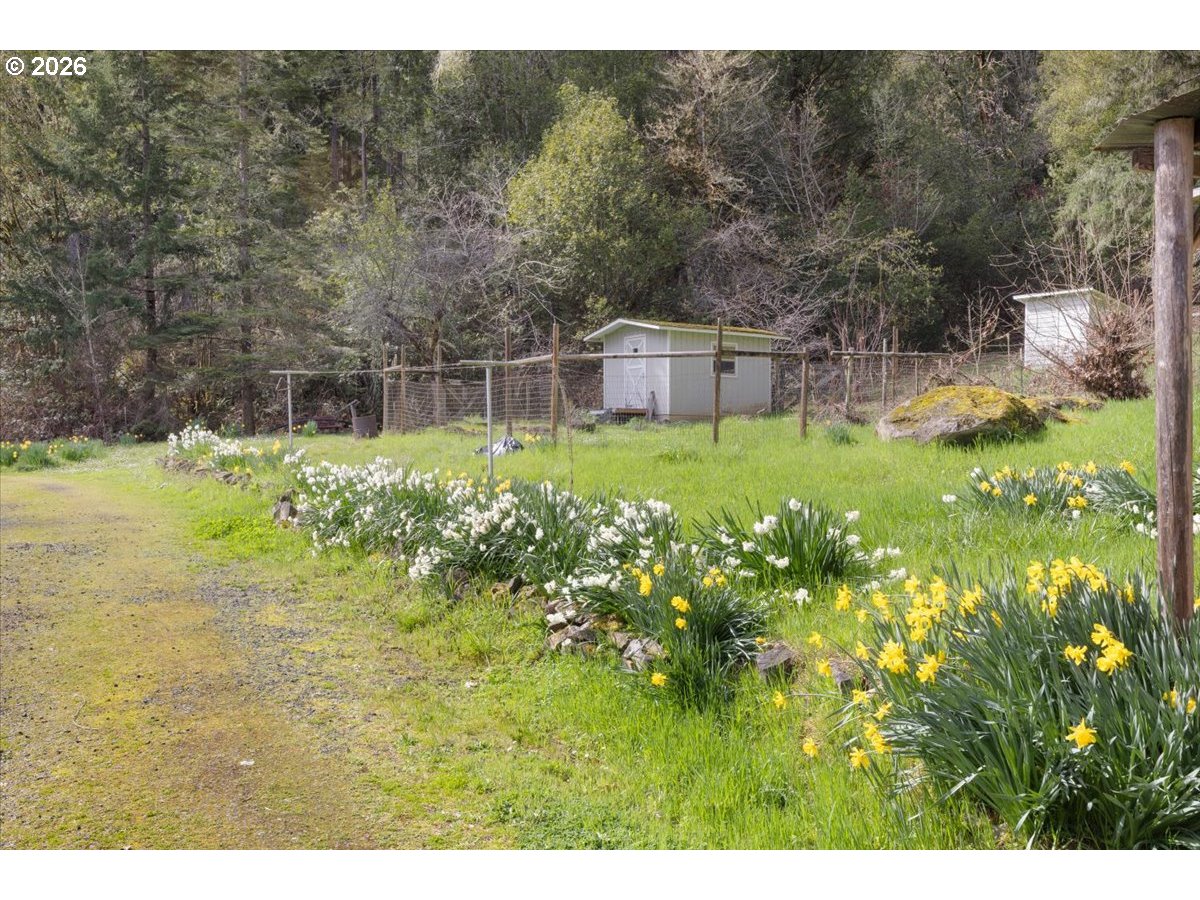 2277 Cougar Creek Road Oakland, OR 97462 - Photo 26 of 34 a view of a garden with an outdoor space