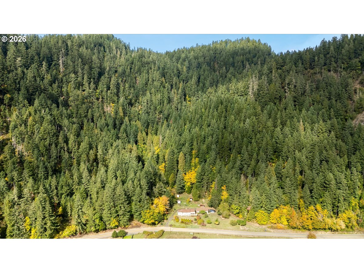 2277 Cougar Creek Road Oakland, OR 97462 - Photo 33 of 34 a view of a yard