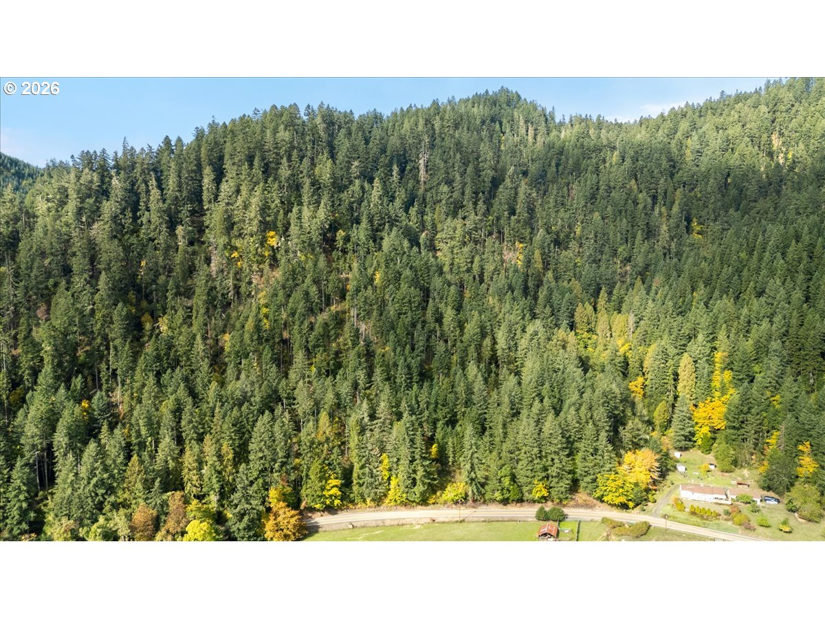 2277 Cougar Creek Road Oakland, OR 97462 - Photo 34 of 34 a view of a yard