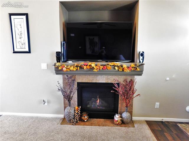 2185 Reed Grass Way Colorado Springs, CO 80915 - Photo 4 of 15