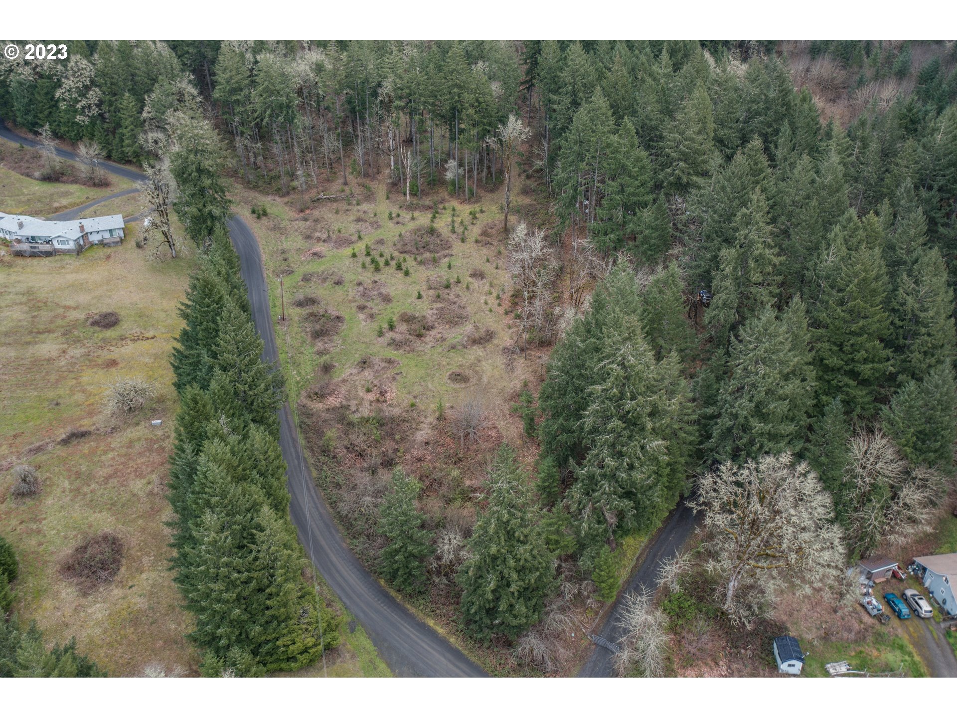 5891 Kings Ridge Road, Unit 1 Dallas, OR 97338 - Photo 13 of 48 a view of a forest with a street