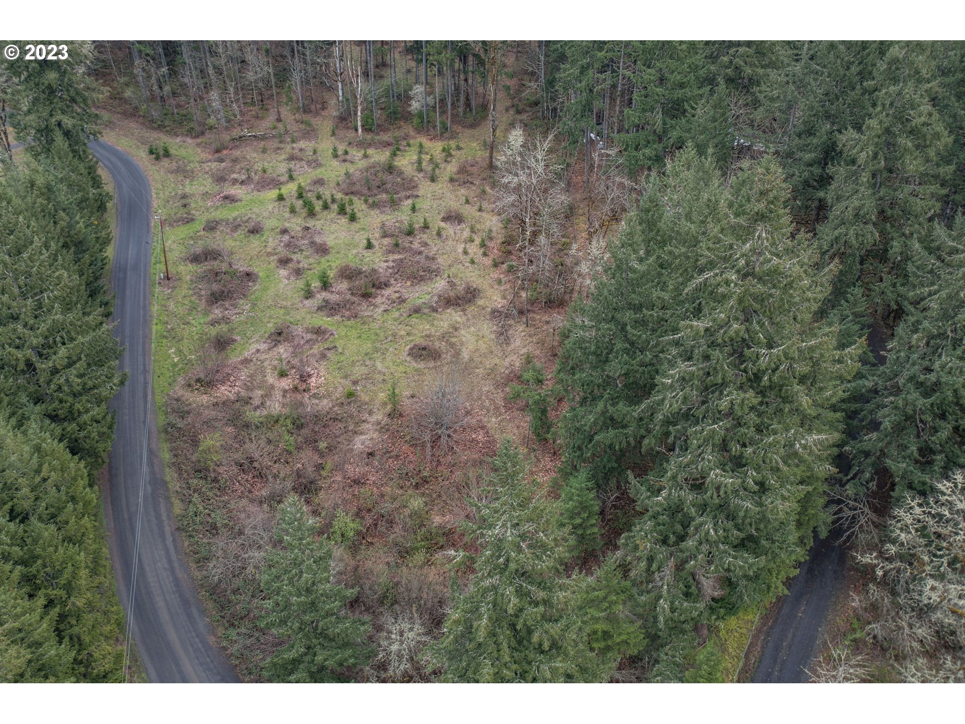 5891 Kings Ridge Road, Unit 1 Dallas, OR 97338 - Photo 14 of 48 a view of a dry yard