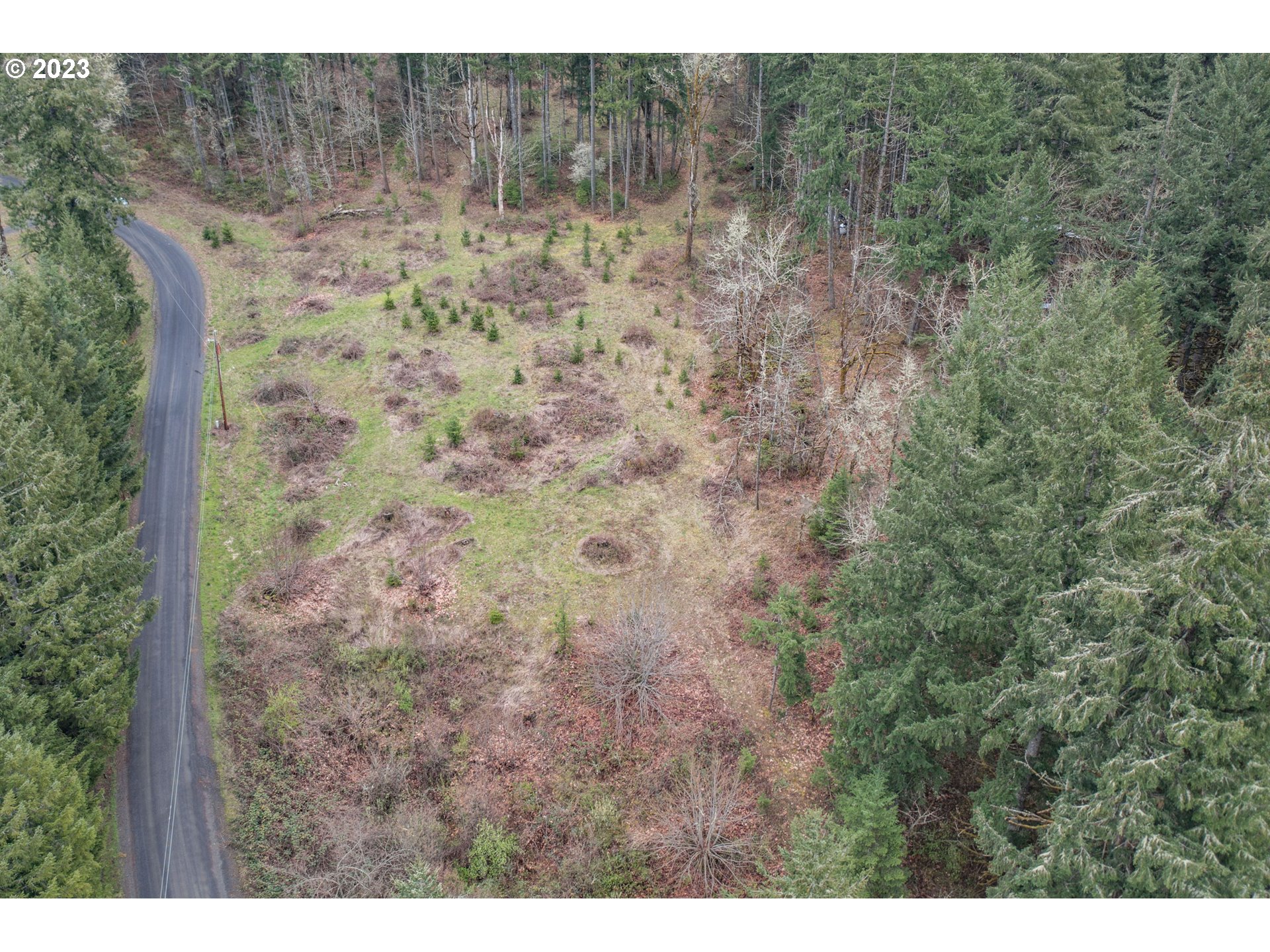 5891 Kings Ridge Road, Unit 1 Dallas, OR 97338 - Photo 15 of 48 a view of a dry yard with trees in the background