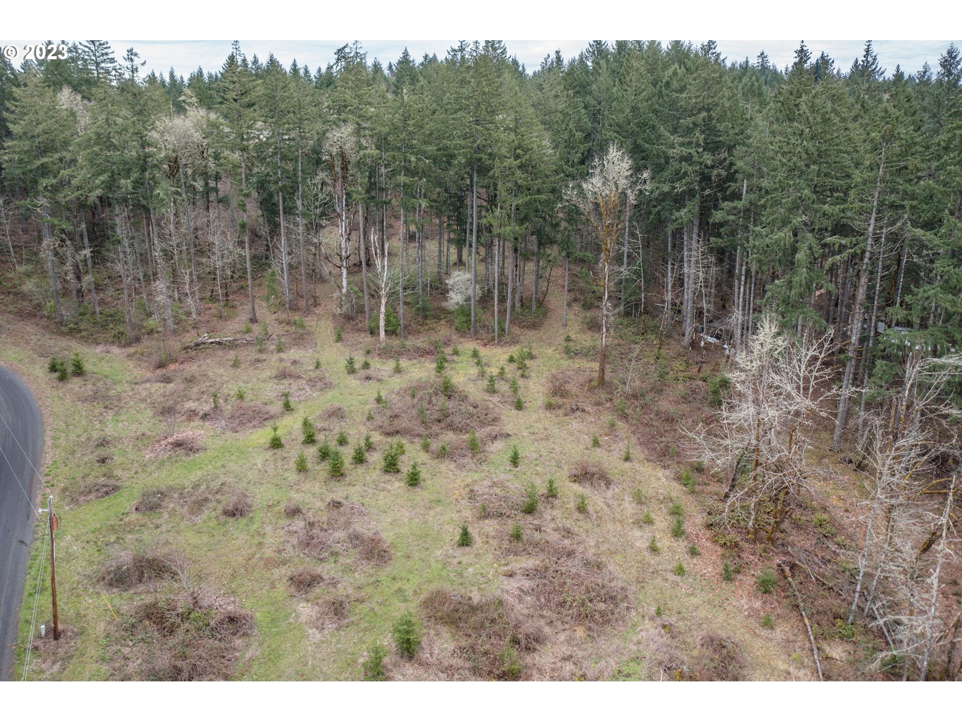 5891 Kings Ridge Road, Unit 1 Dallas, OR 97338 - Photo 17 of 48 a view of a dry yard with trees in the background