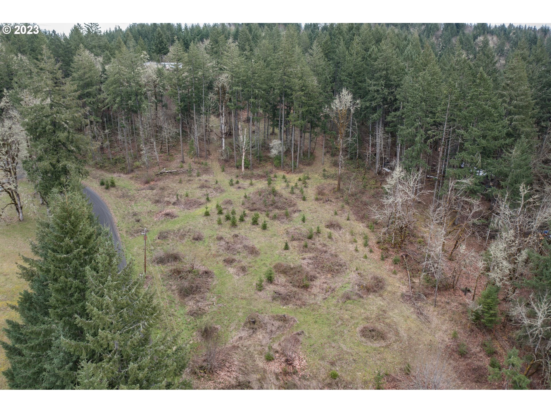 5891 Kings Ridge Road, Unit 1 Dallas, OR 97338 - Photo 18 of 48 a view of a forest with trees in the background