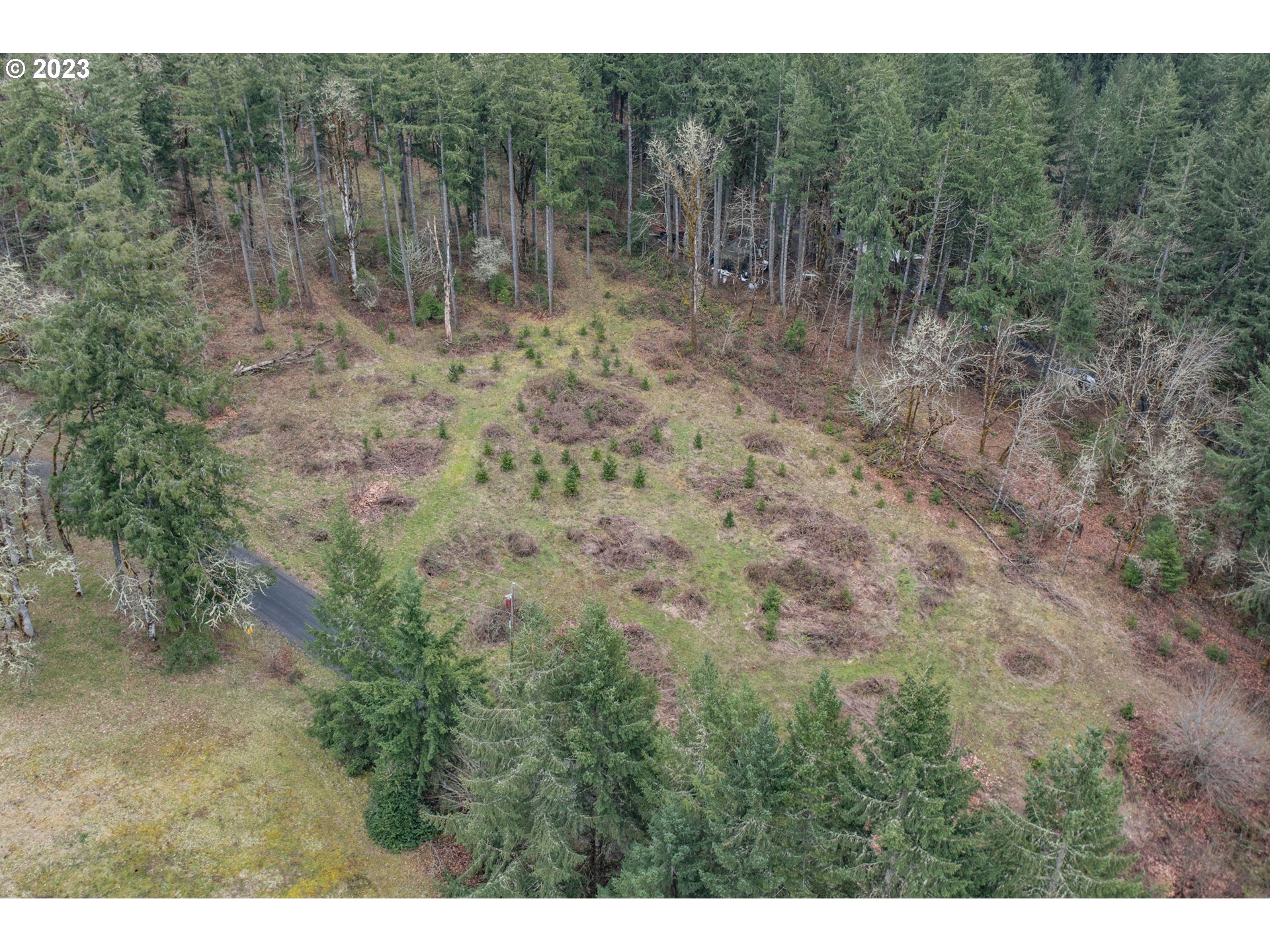 5891 Kings Ridge Road, Unit 1 Dallas, OR 97338 - Photo 19 of 48 a view of a forest with trees in the background