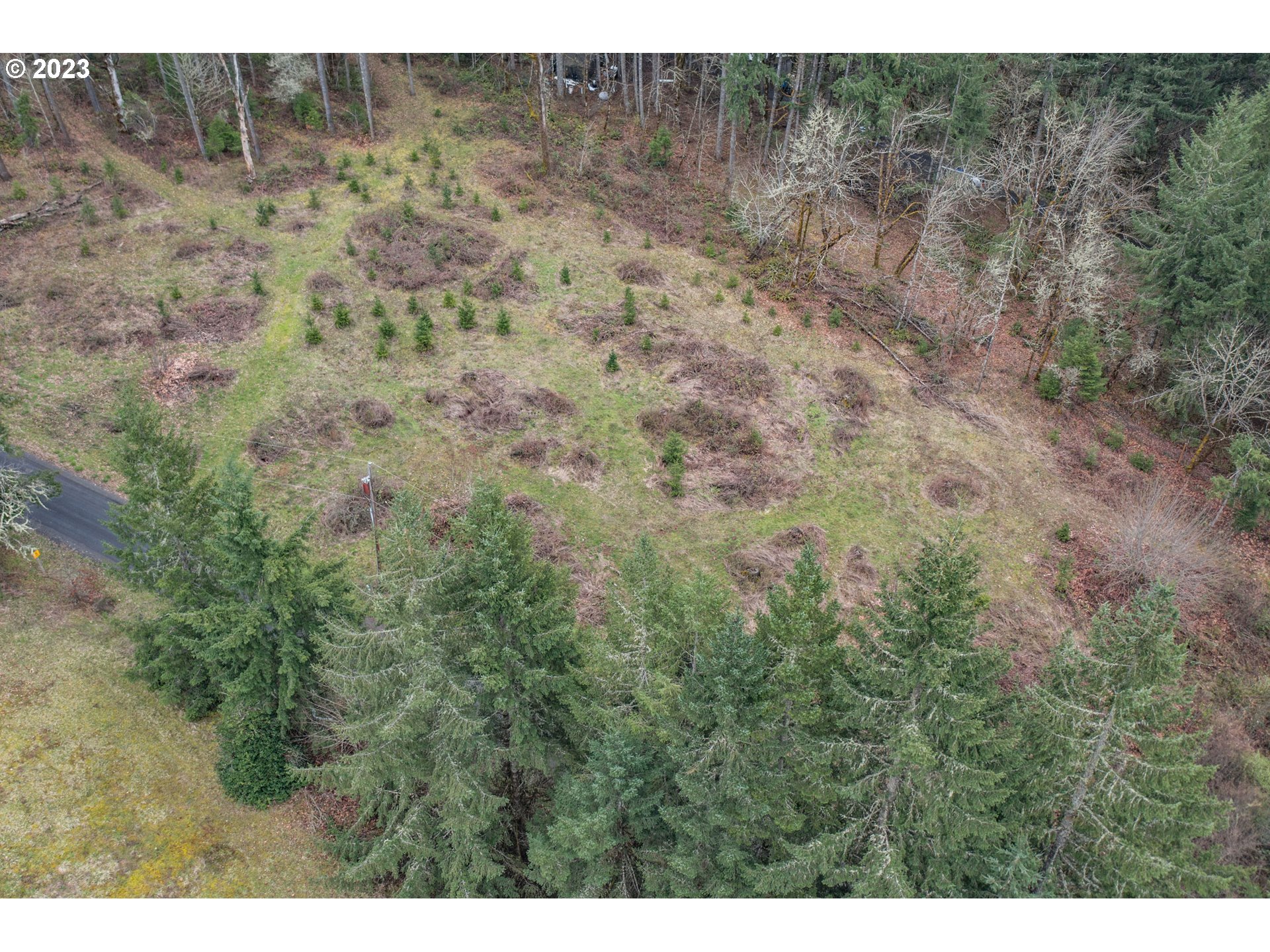 5891 Kings Ridge Road, Unit 1 Dallas, OR 97338 - Photo 20 of 48 a view of a dry yard