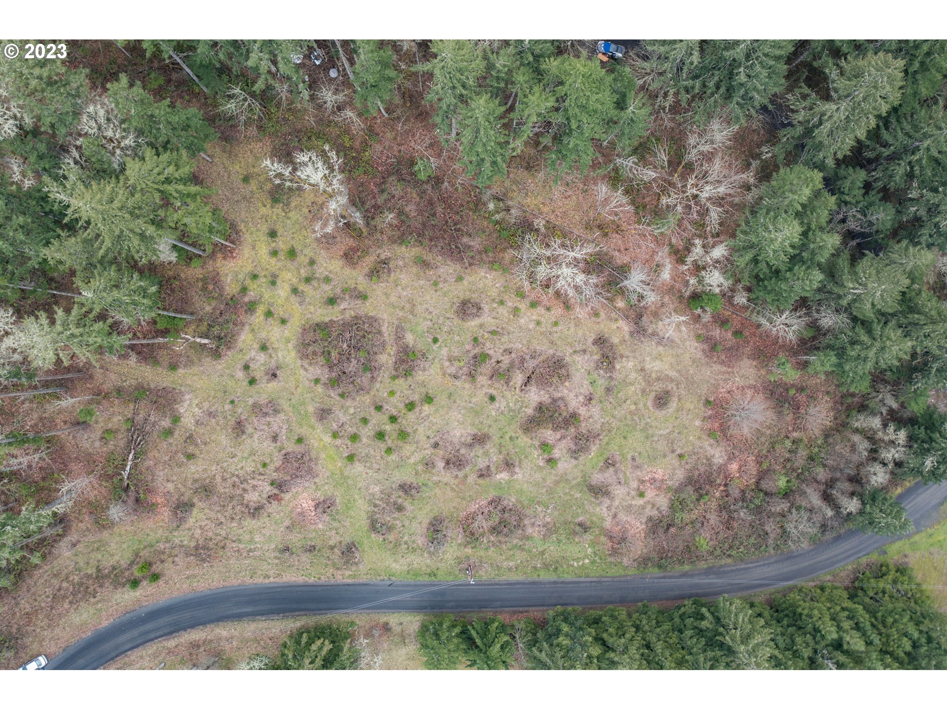 5891 Kings Ridge Road, Unit 1 Dallas, OR 97338 - Photo 21 of 48 a view of a yard