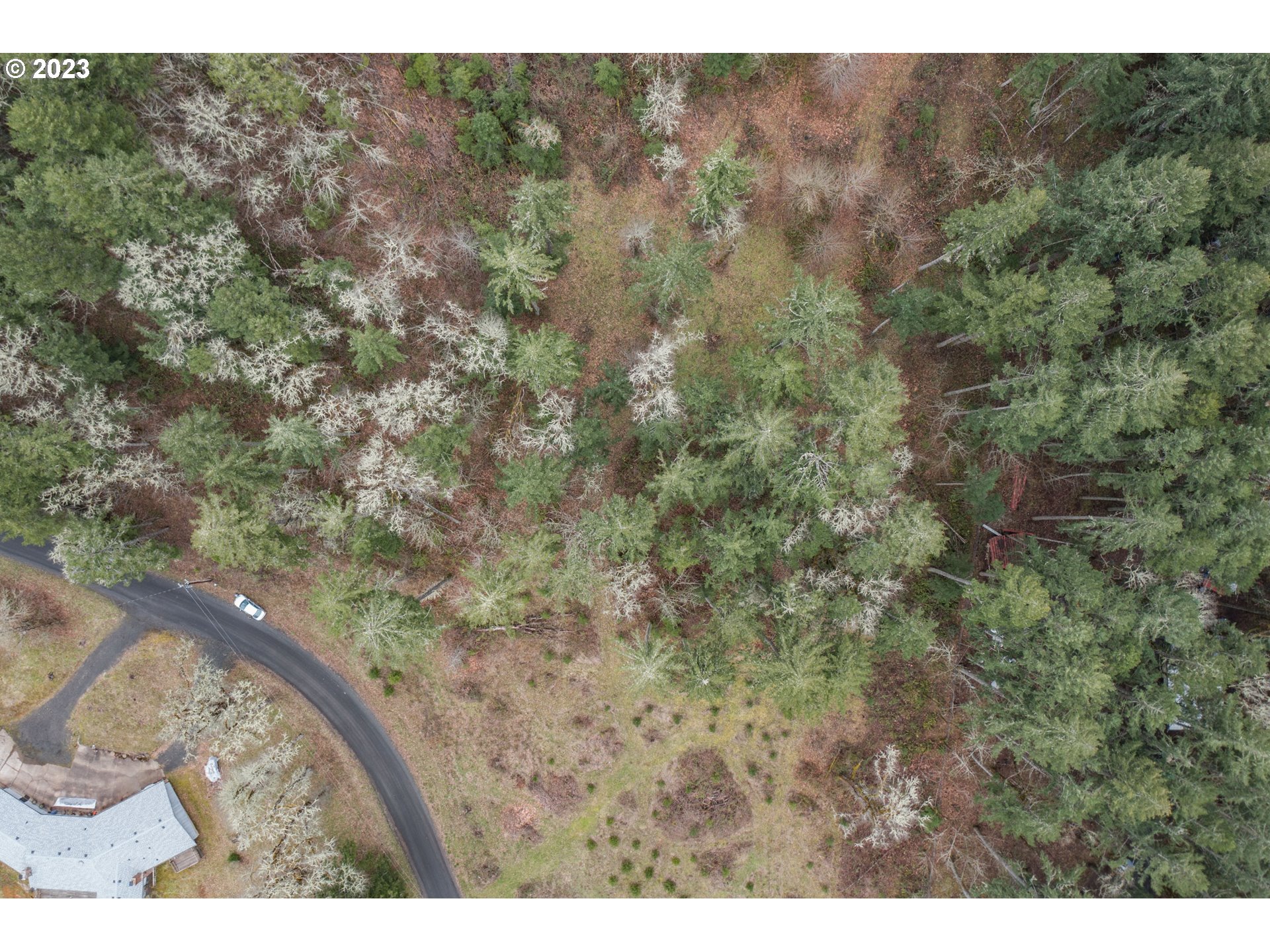 5891 Kings Ridge Road, Unit 1 Dallas, OR 97338 - Photo 23 of 48 a view of a dry yard with trees