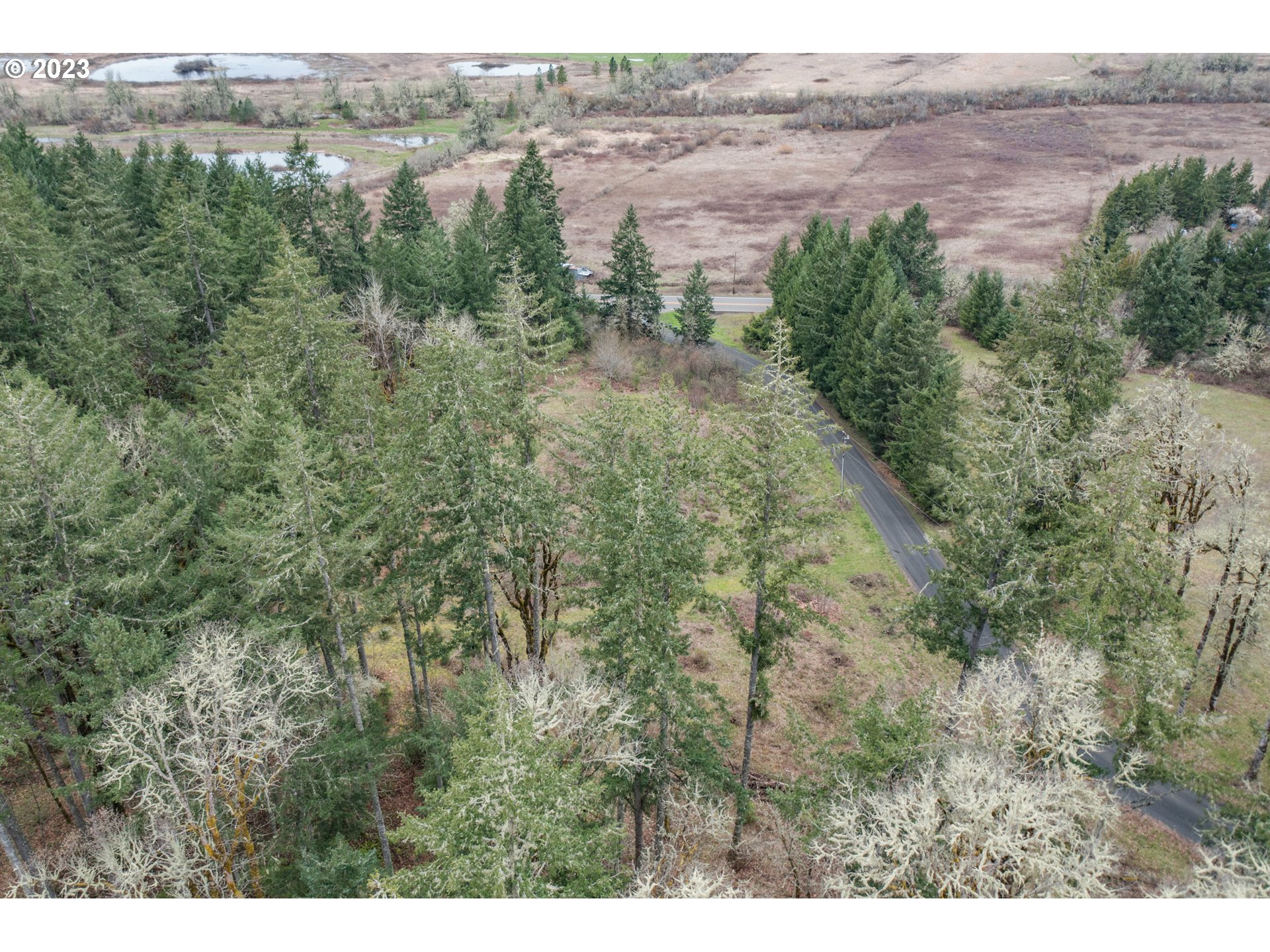 5891 Kings Ridge Road, Unit 1 Dallas, OR 97338 - Photo 30 of 48 a view of a lake with green field