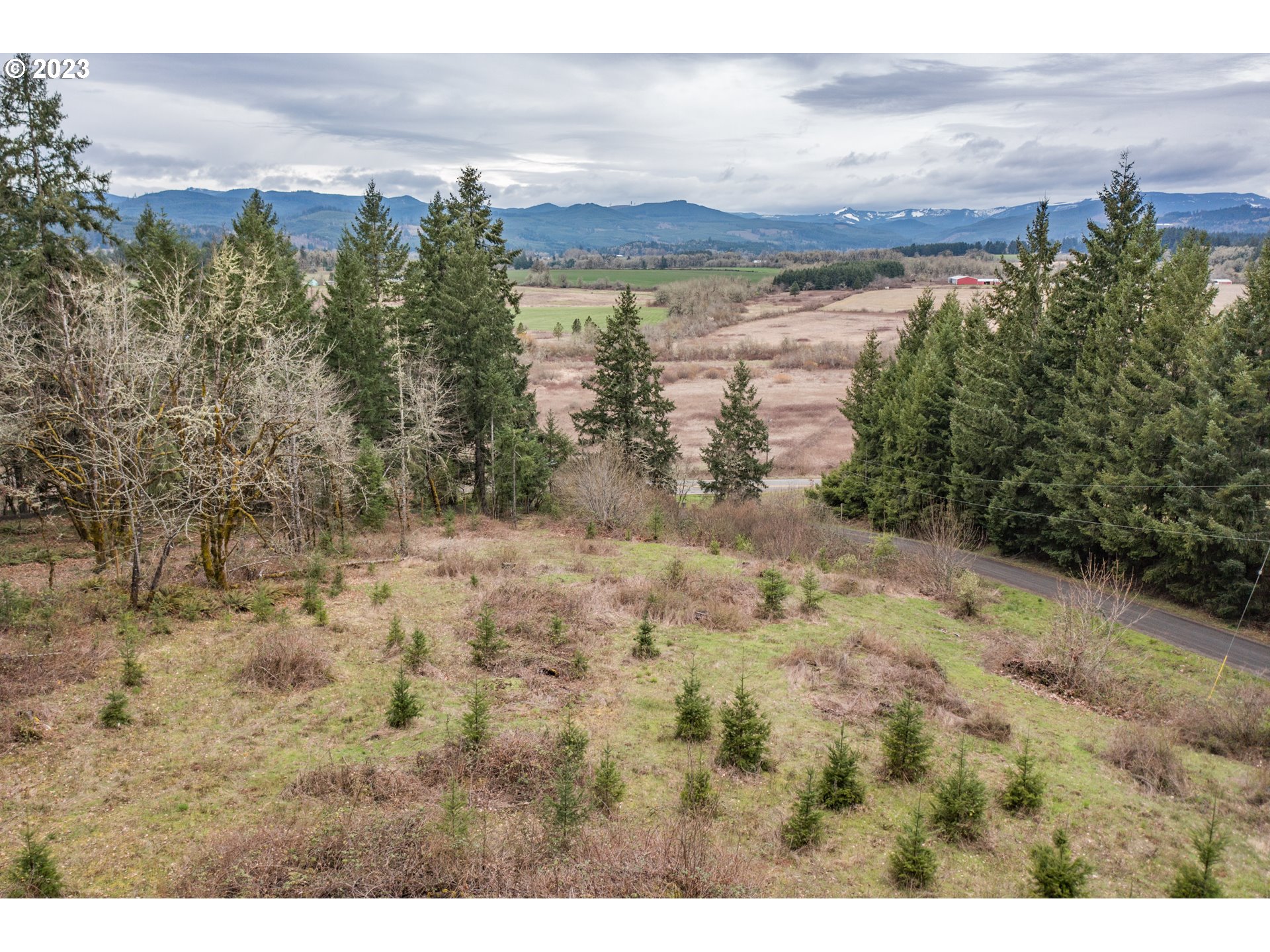 5891 Kings Ridge Road, Unit 1 Dallas, OR 97338 - Photo 31 of 48 a view of lake with mountain