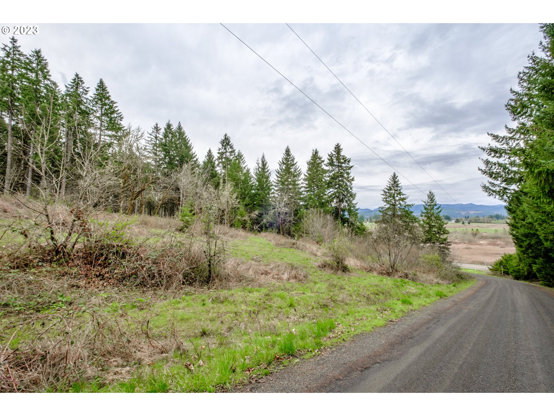 5891 Kings Ridge Road, Unit 1 Dallas, OR 97338 - Photo 32 of 48 a view of a yard with a tree