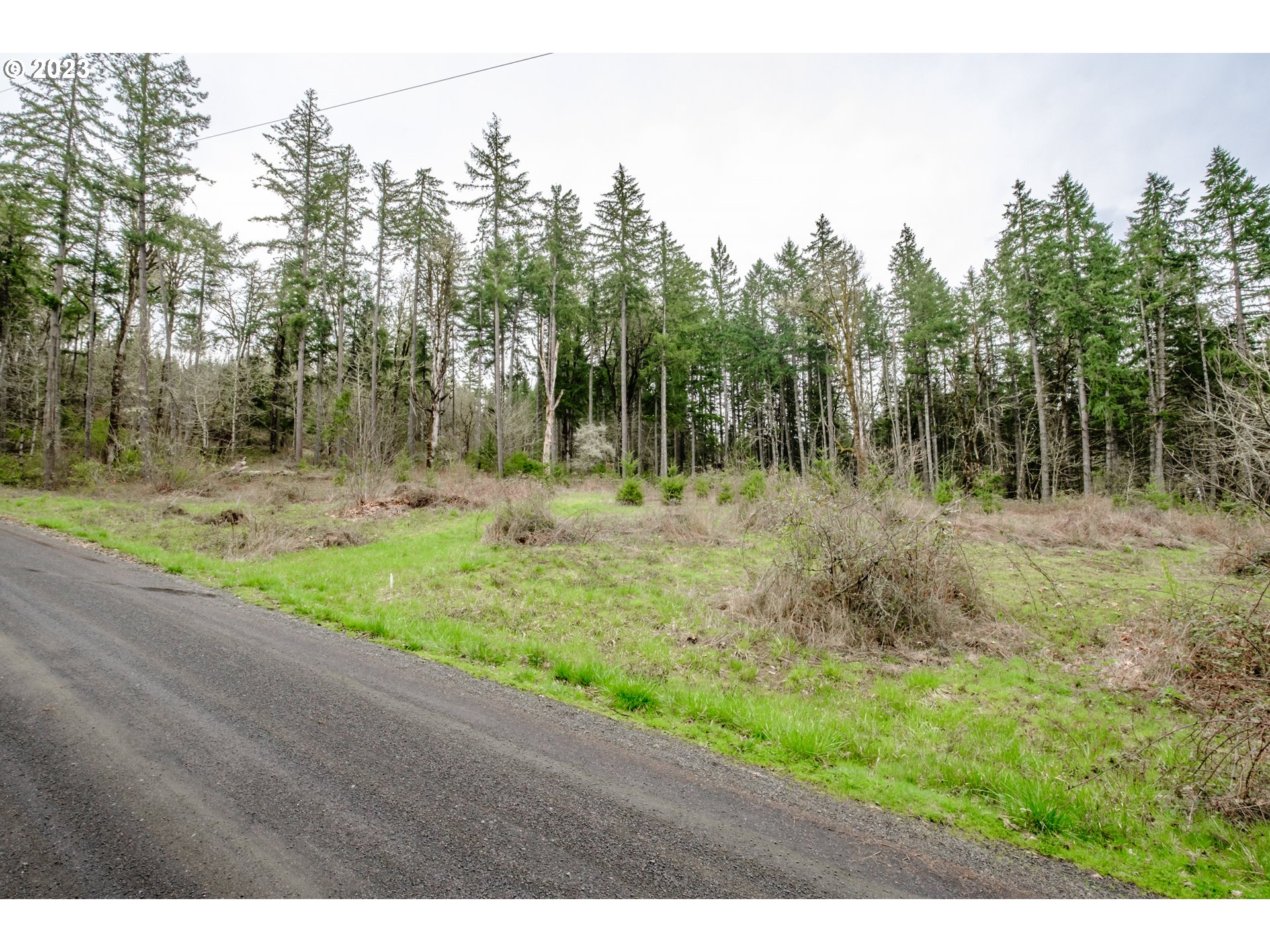 5891 Kings Ridge Road, Unit 1 Dallas, OR 97338 - Photo 33 of 48 a big yard with lots of green space
