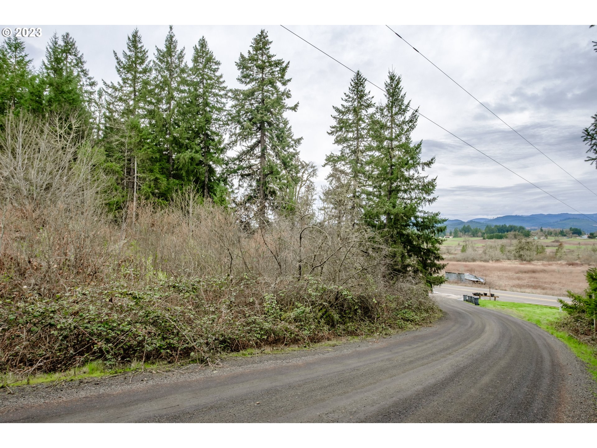 5891 Kings Ridge Road, Unit 1 Dallas, OR 97338 - Photo 34 of 48 a view of a lake with beach and green space