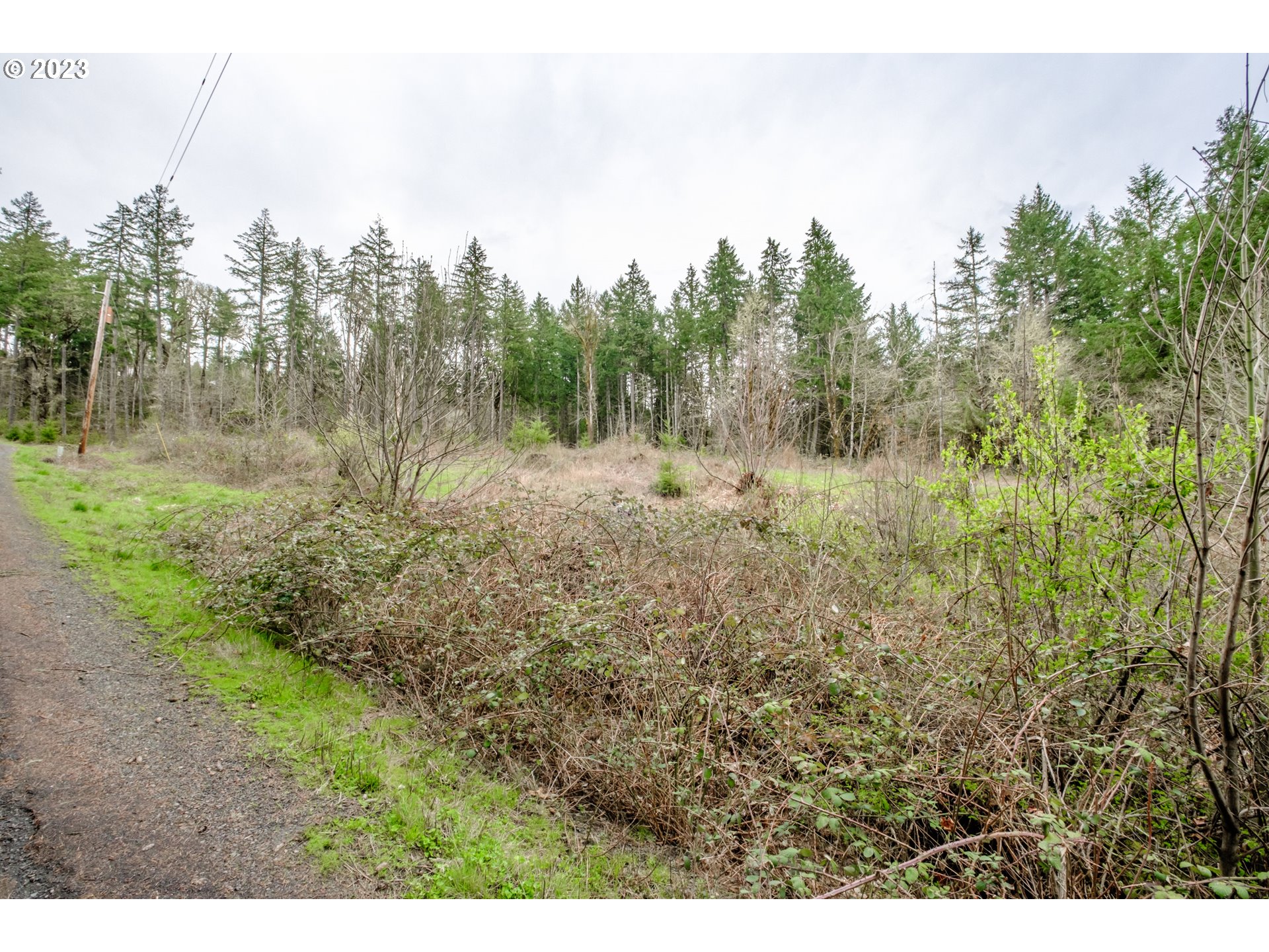 5891 Kings Ridge Road, Unit 1 Dallas, OR 97338 - Photo 35 of 48 a view of a lush green forest with trees in the background
