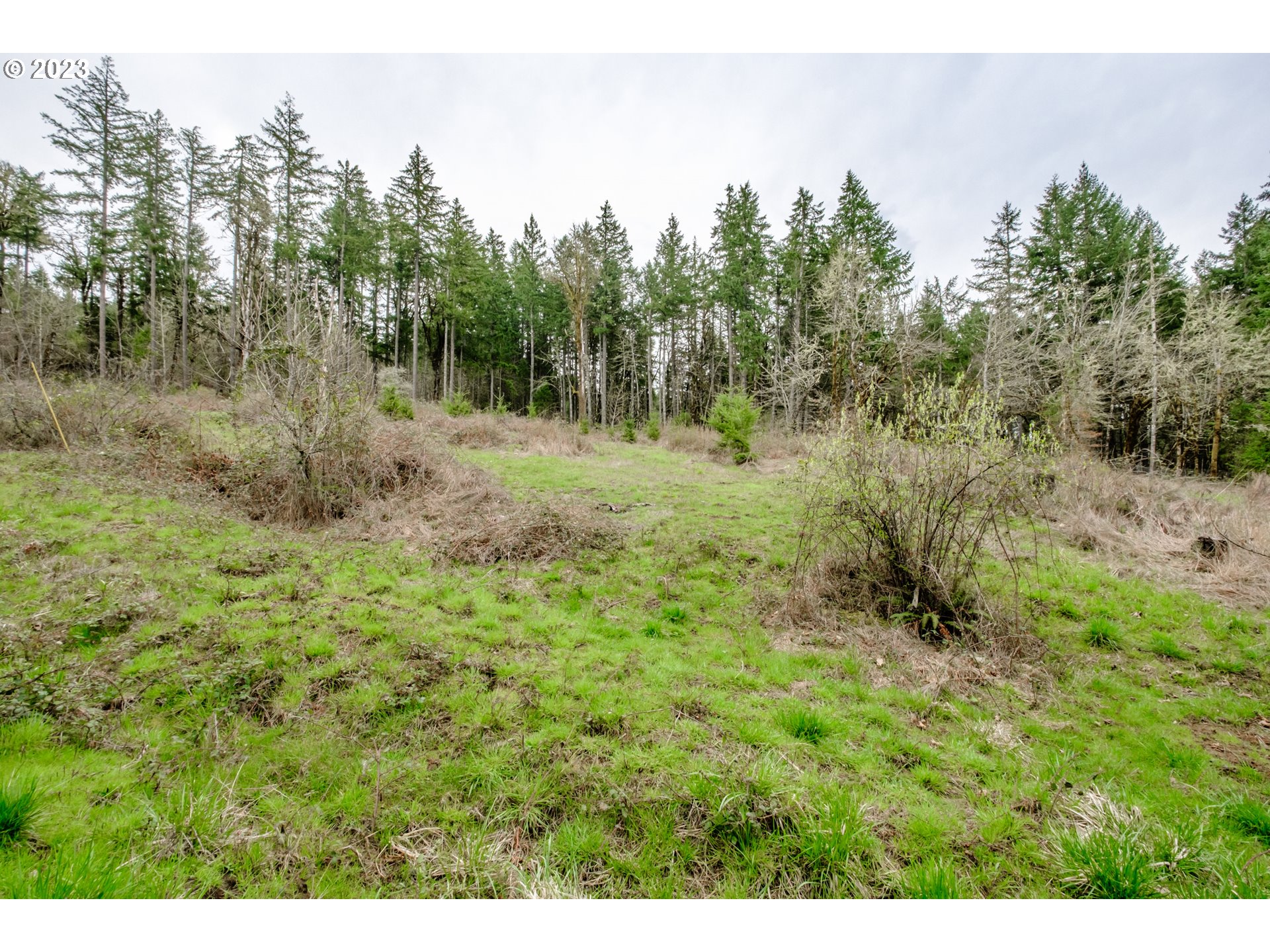 5891 Kings Ridge Road, Unit 1 Dallas, OR 97338 - Photo 36 of 48 a view of a lush green forest with trees in the background