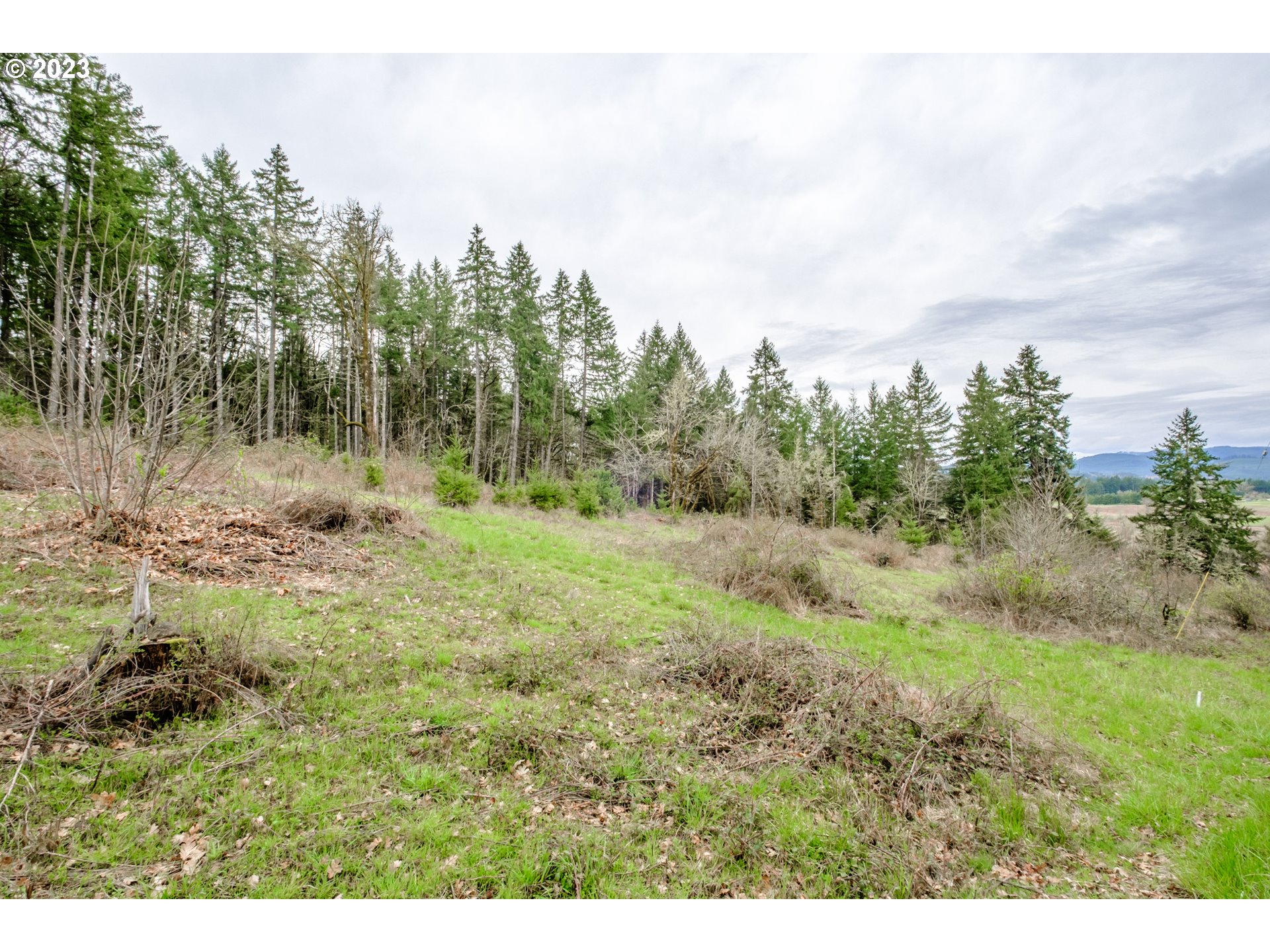 5891 Kings Ridge Road, Unit 1 Dallas, OR 97338 - Photo 37 of 48 a view of a yard with trees in the background