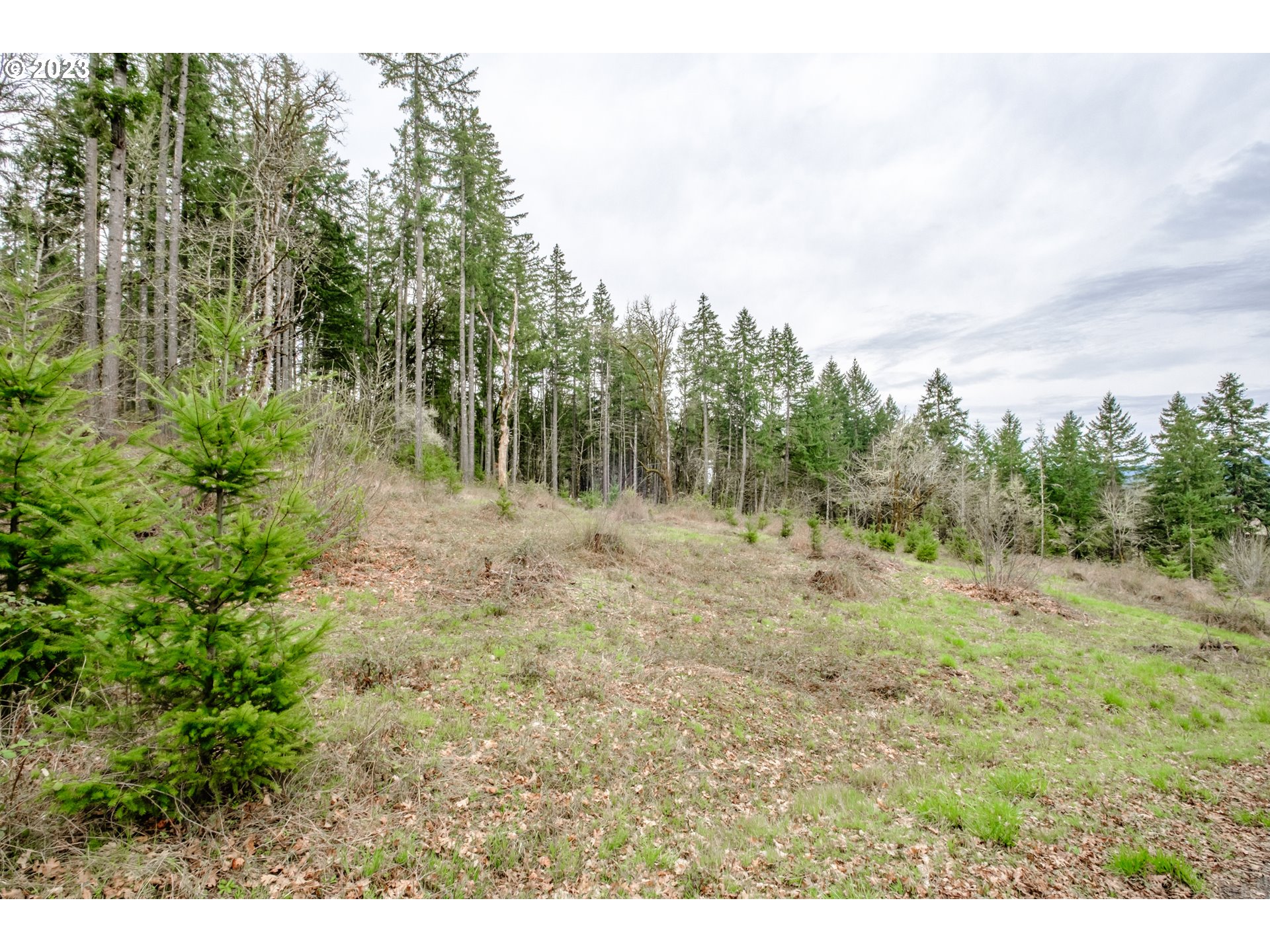 5891 Kings Ridge Road, Unit 1 Dallas, OR 97338 - Photo 38 of 48 a view of outdoor space with trees all around