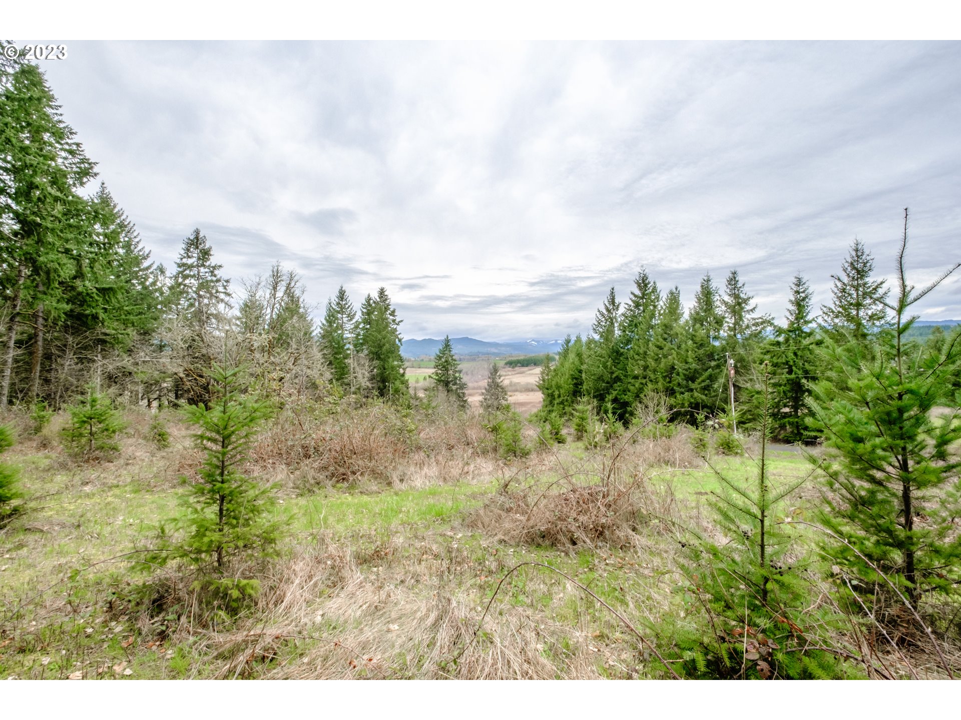 5891 Kings Ridge Road, Unit 1 Dallas, OR 97338 - Photo 43 of 48 a view of a yard and an trees