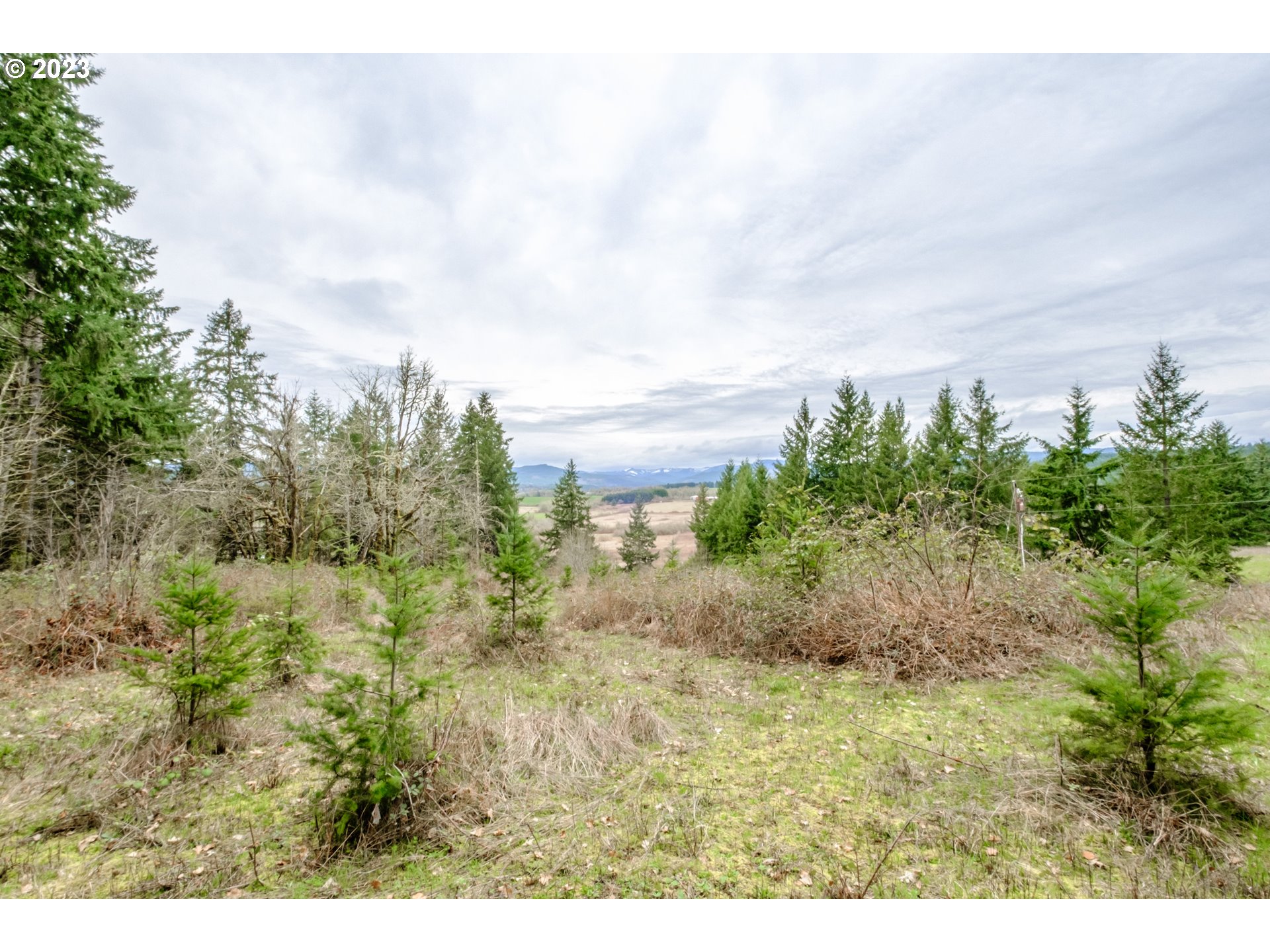 5891 Kings Ridge Road, Unit 1 Dallas, OR 97338 - Photo 44 of 48 a view of a yard