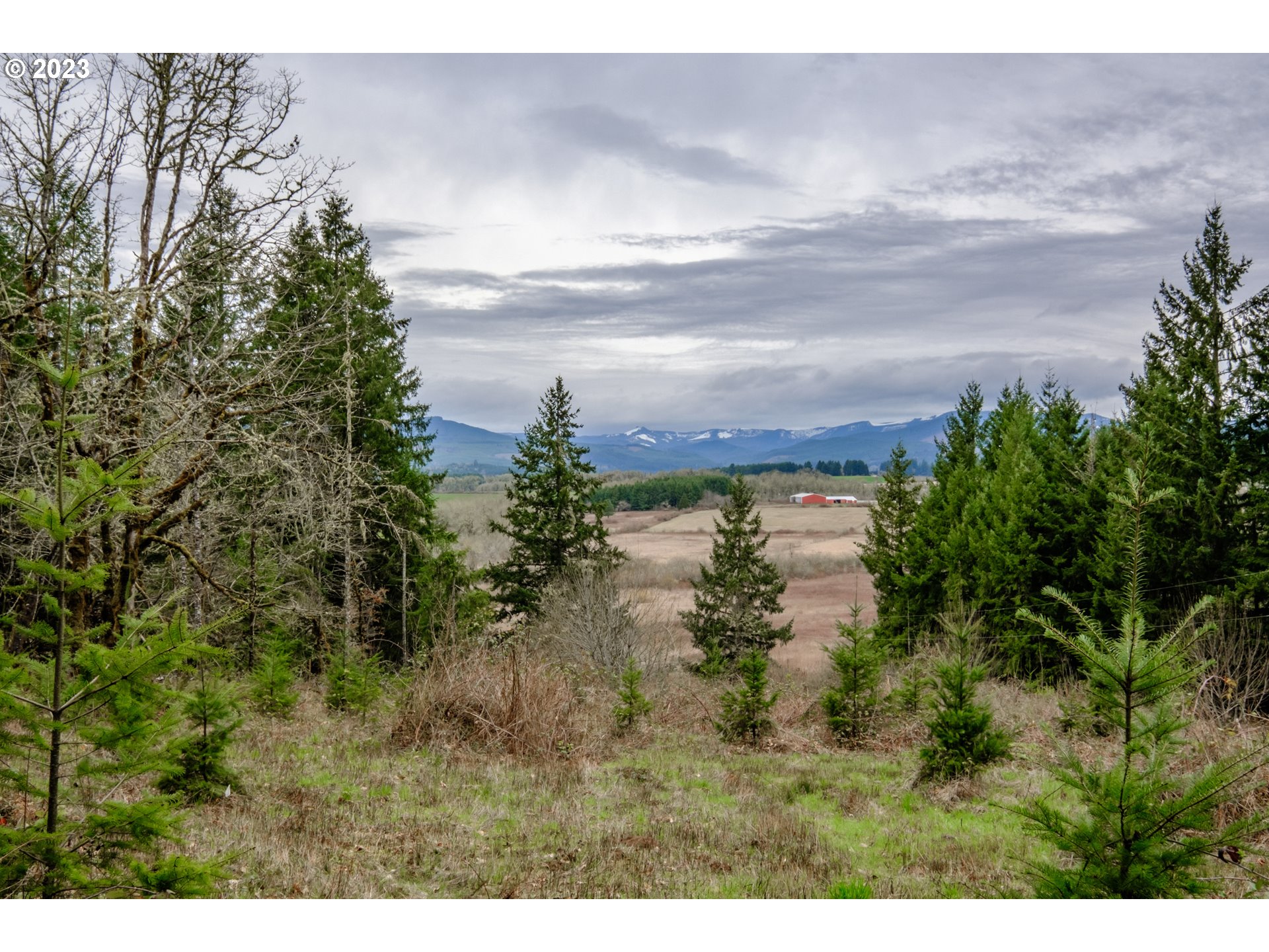 5891 Kings Ridge Road, Unit 1 Dallas, OR 97338 - Photo 46 of 48 a view of lake with mountain view