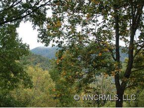 73 Solitude Ridge Swannanoa, NC 28778 - Photo 4 of 24 Gallery Image 4