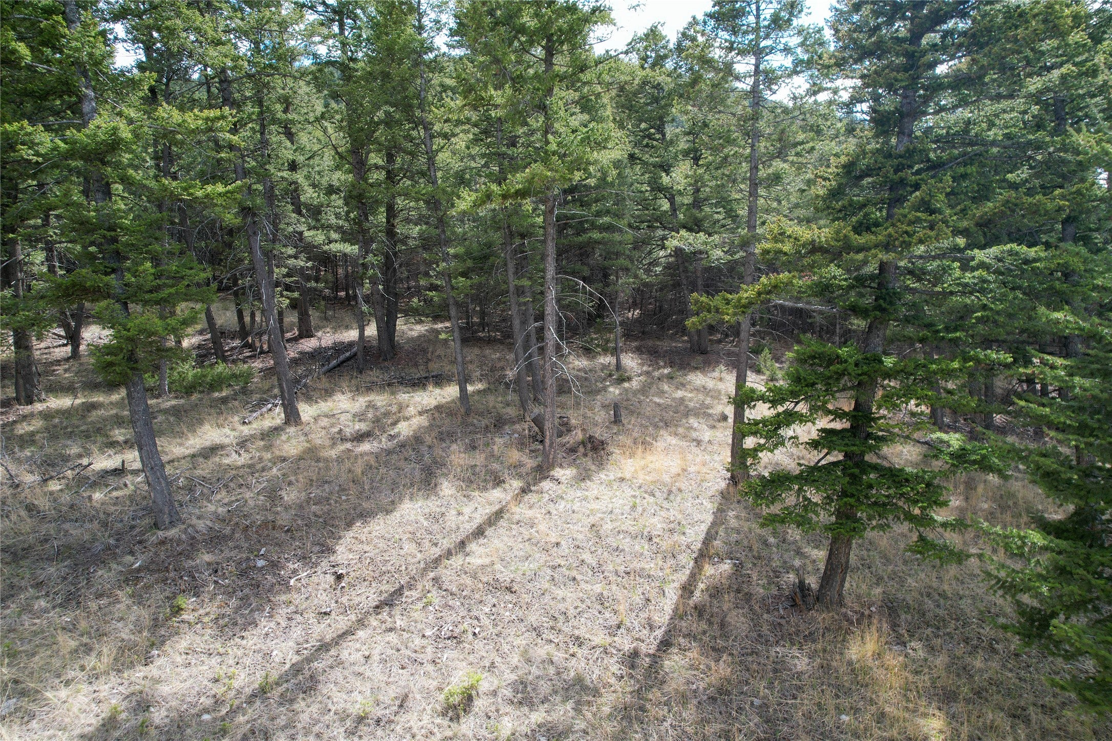 291 South Hills Road Clancy, MT 59634 - Photo 9 of 11 Gallery Image 9