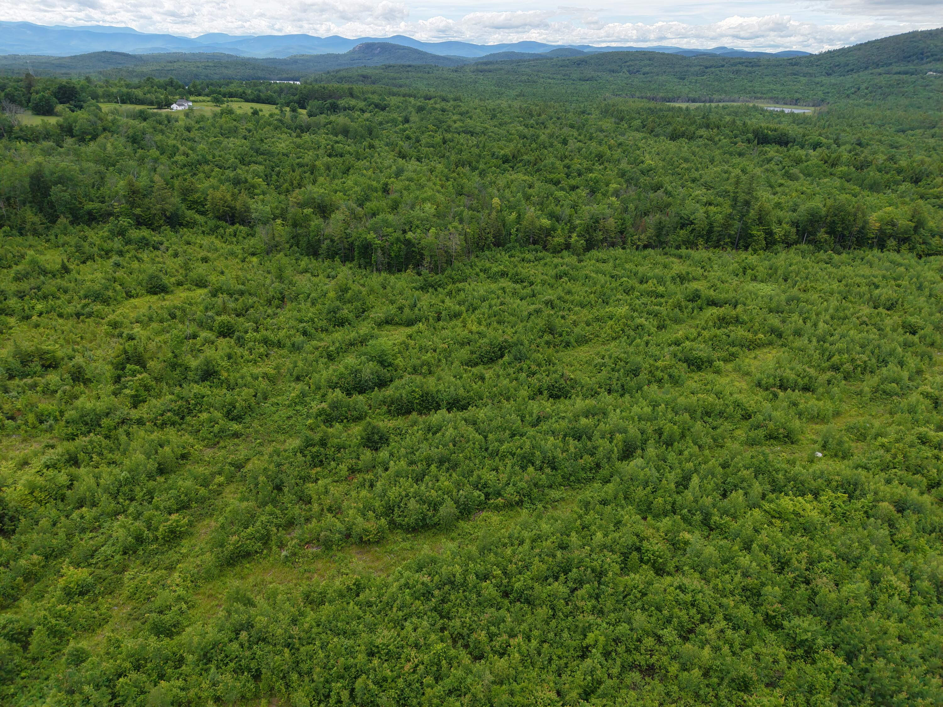 L52 Bridgton Road Harrison, ME 04040 - Photo 20 of 29