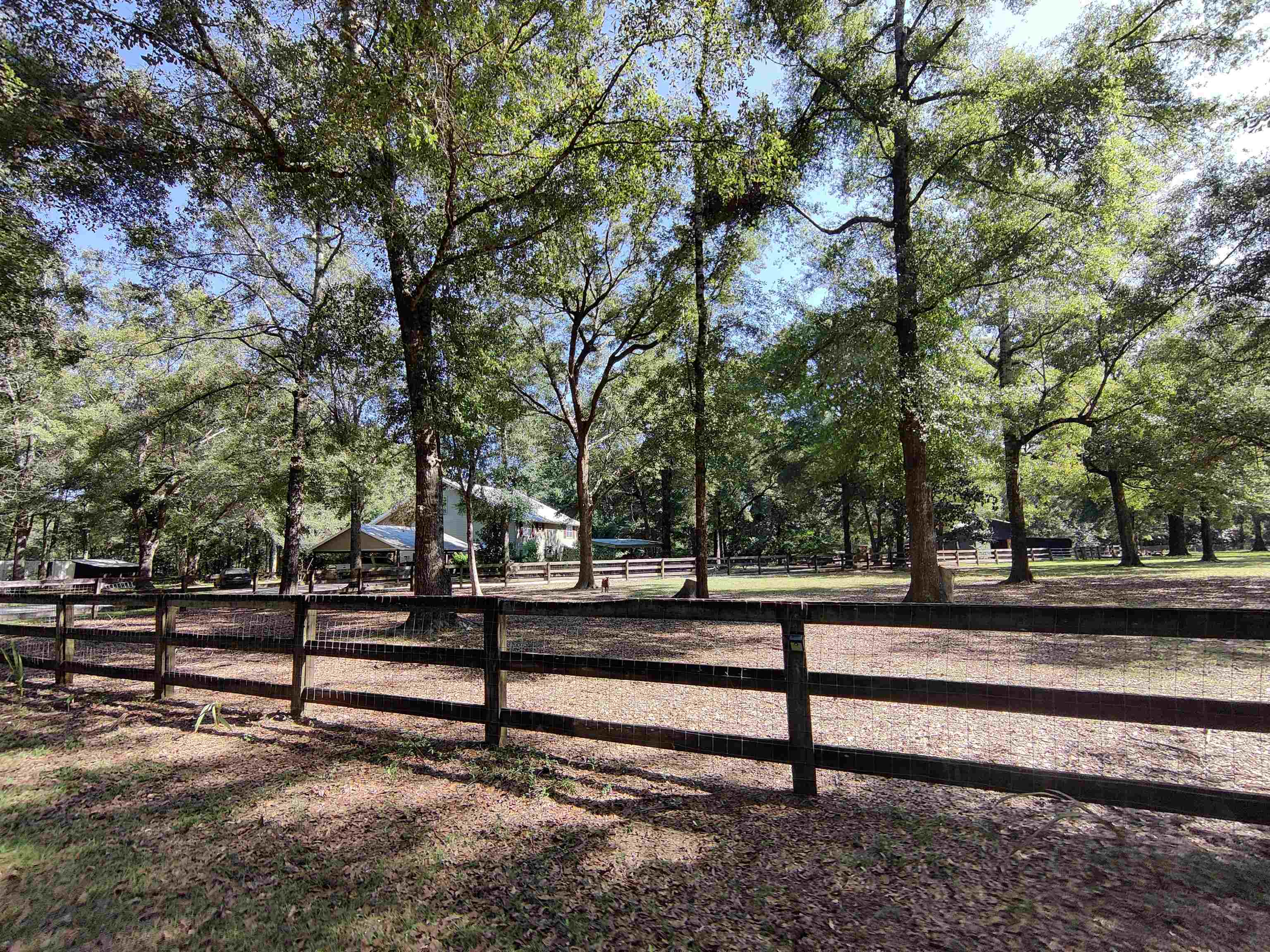 24250 River Road North Daphne, AL 36526 - Photo 1 of 80 Main home nestled in among the trees