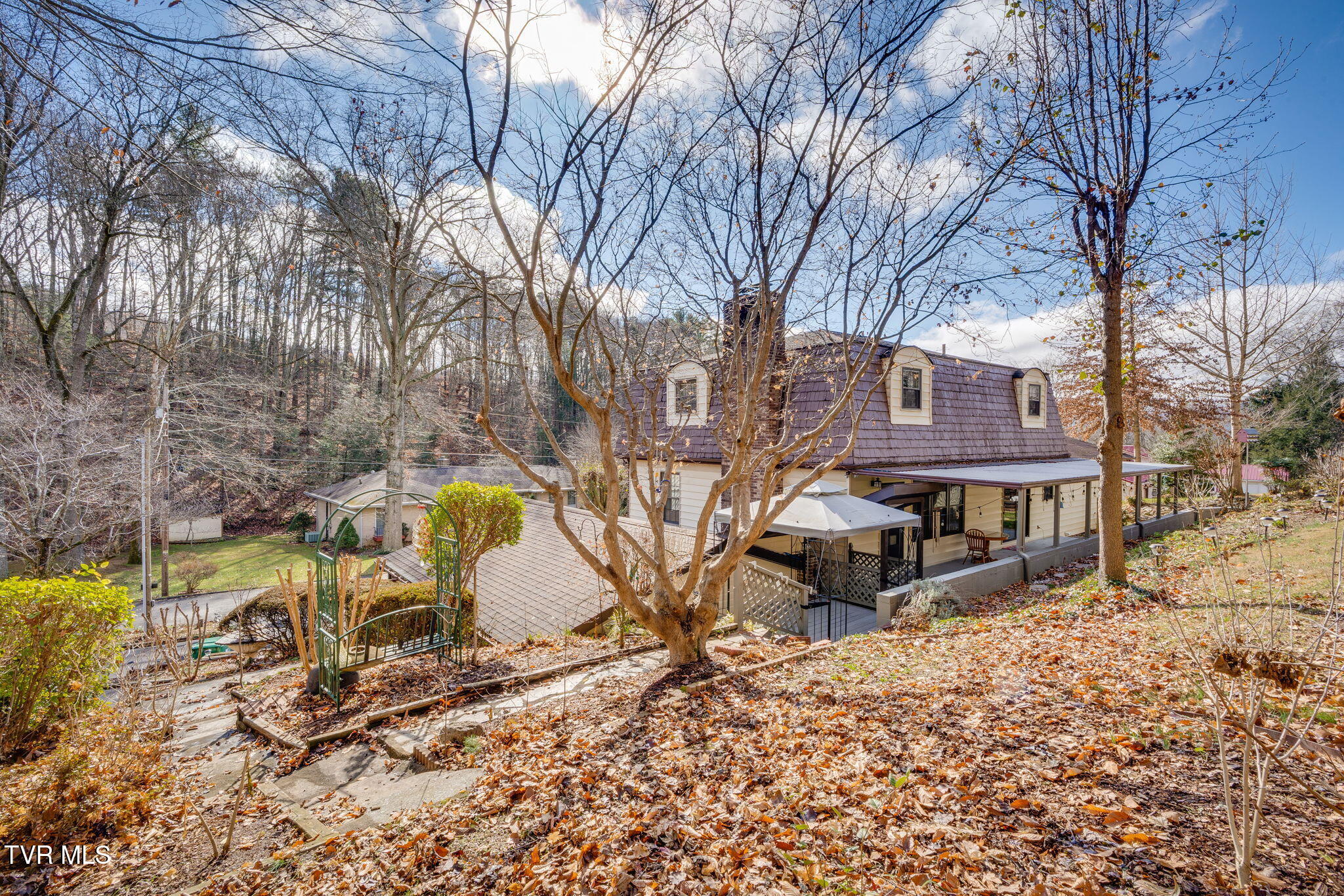 557 Valley Avenue Erwin, TN 37650 - Photo 49 of 66 038