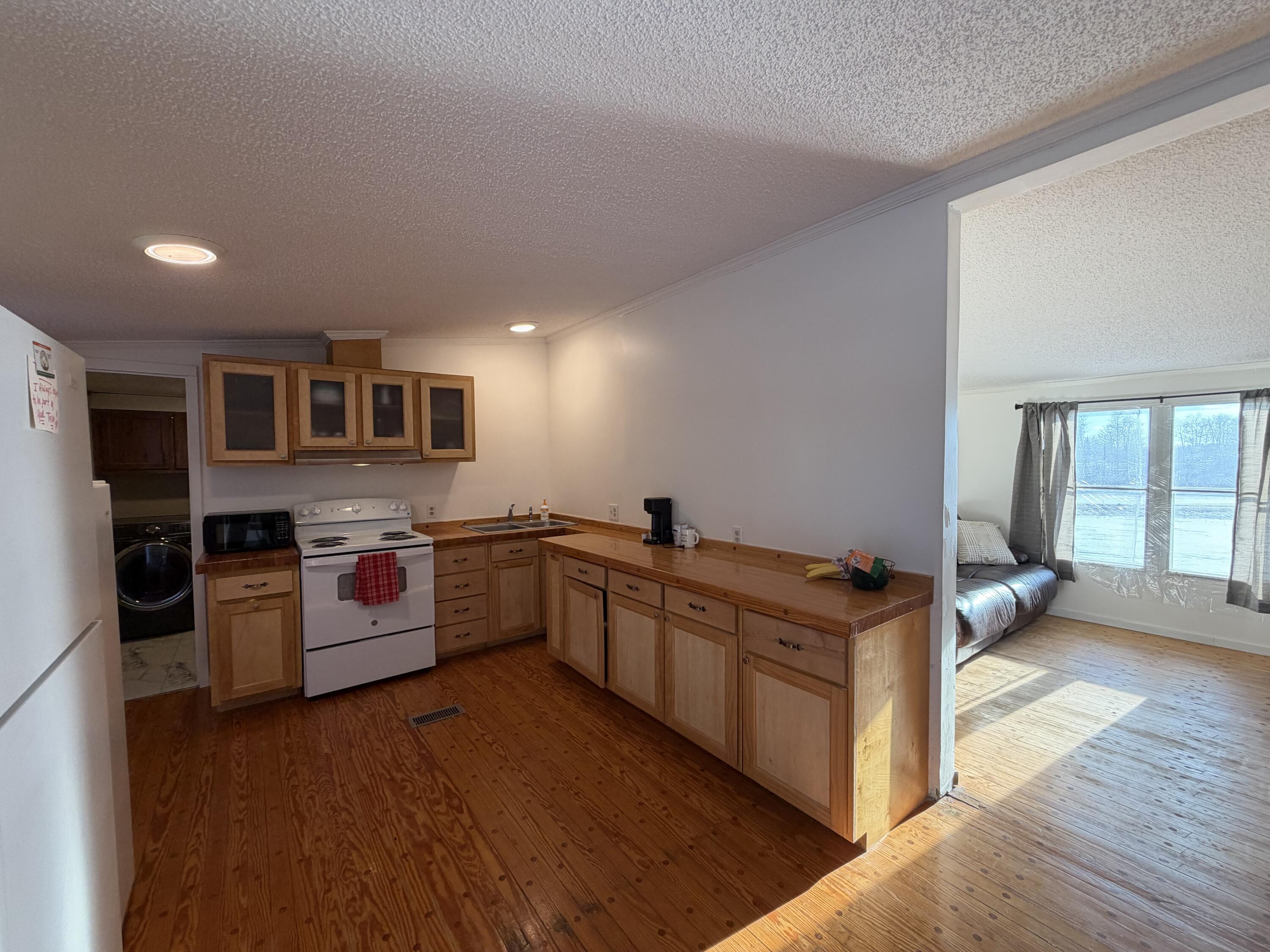 15734 Hall Road Bailey, MI 49303 - Photo 14 of 25 Kitchen