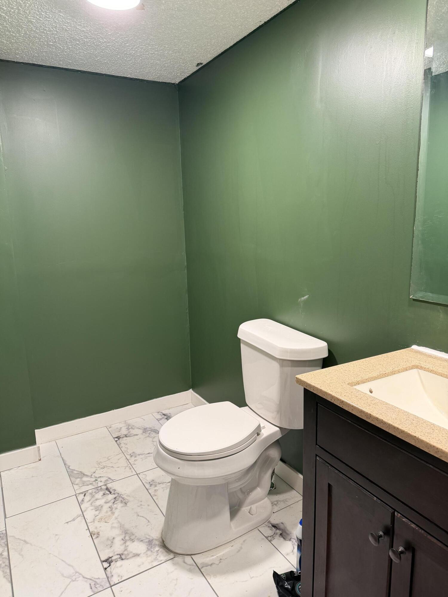 15734 Hall Road Bailey, MI 49303 - Photo 21 of 25 Half bath