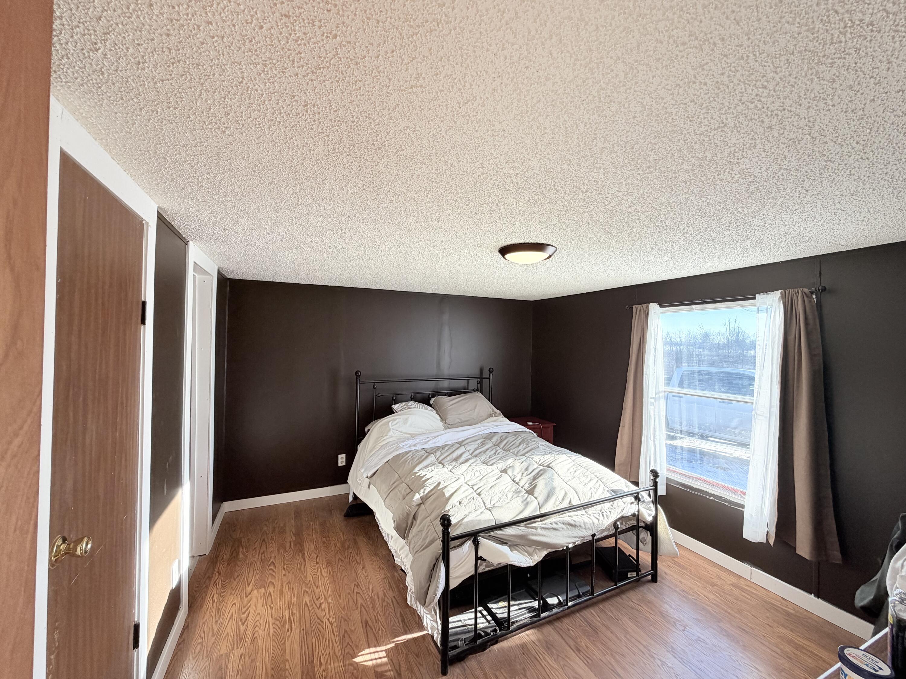 15734 Hall Road Bailey, MI 49303 - Photo 22 of 25 Master bed