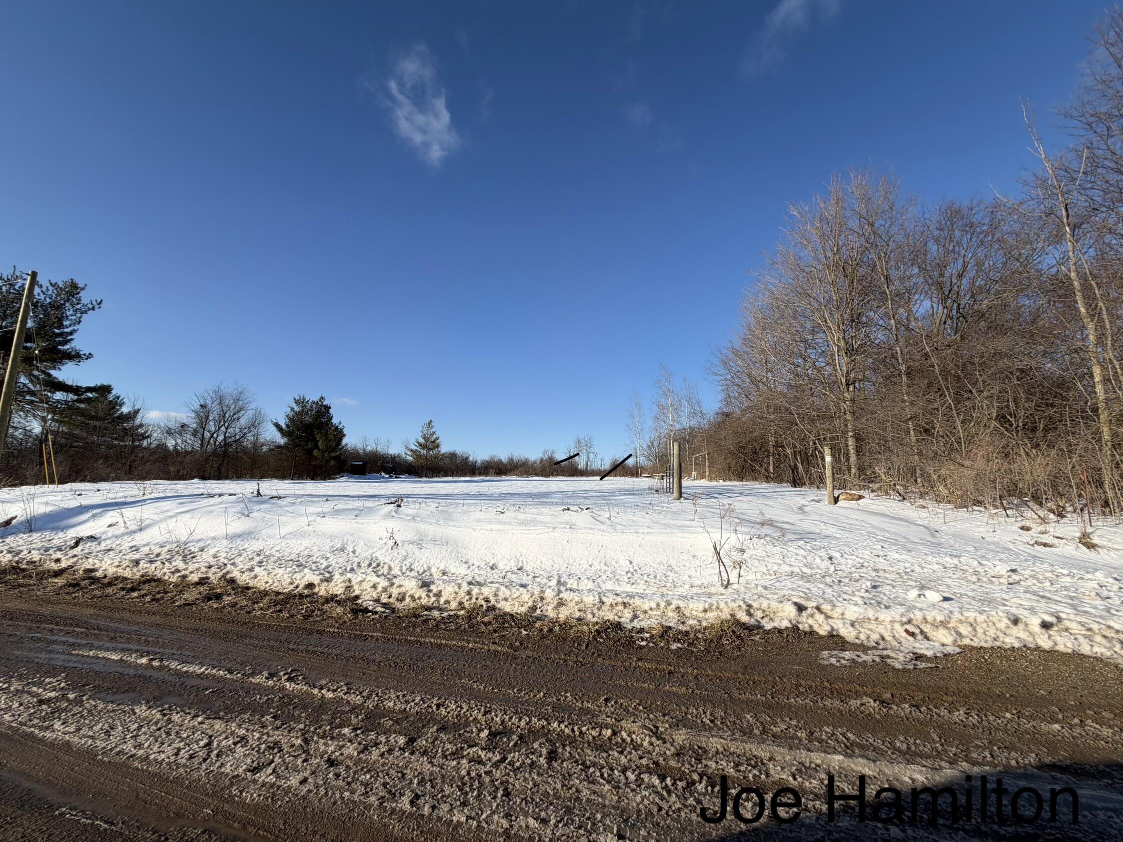 15734 Hall Road Bailey, MI 49303 - Photo 6 of 25 Rosa’s view
