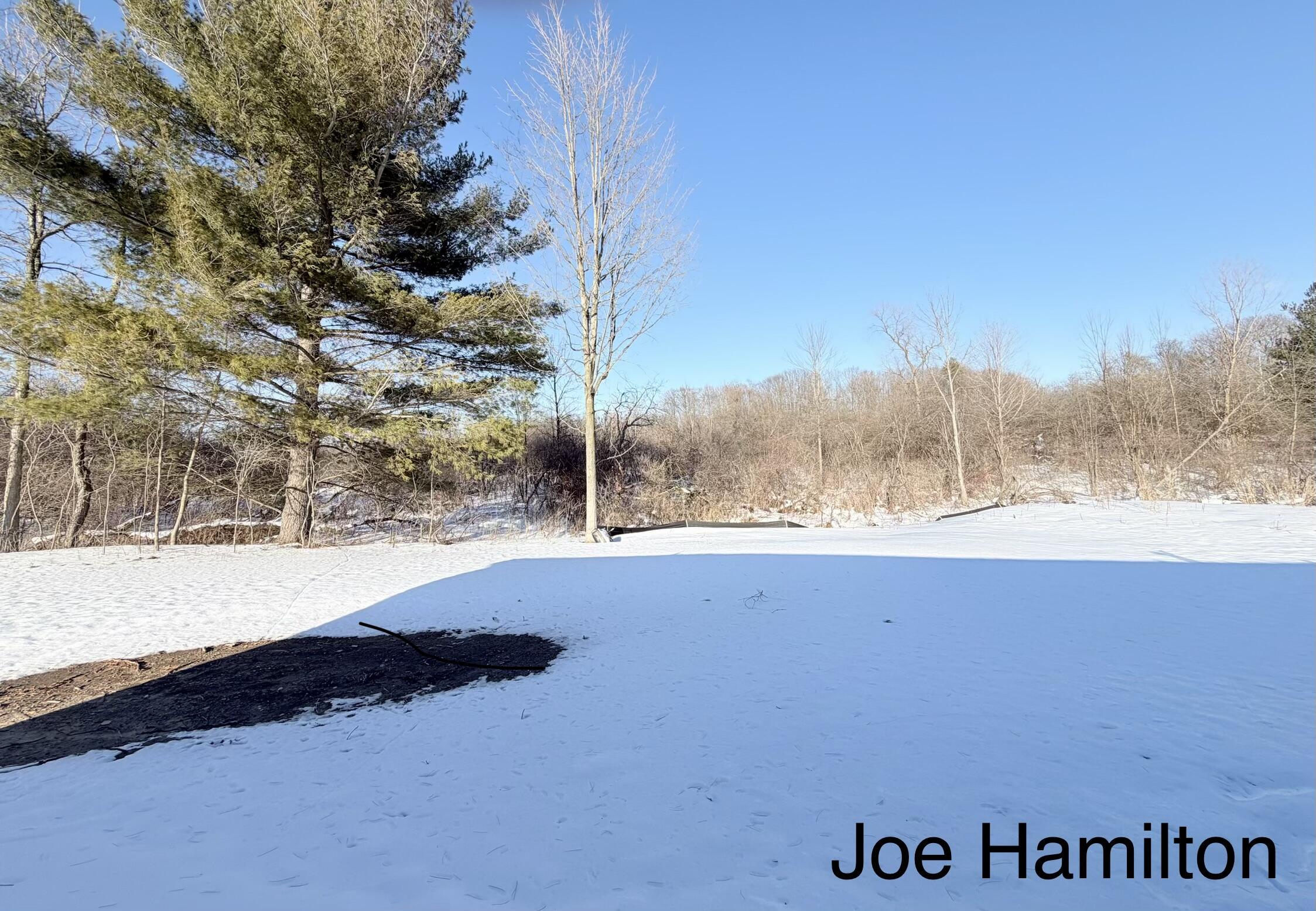 15734 Hall Road Bailey, MI 49303 - Photo 9 of 25 Backyard veiw