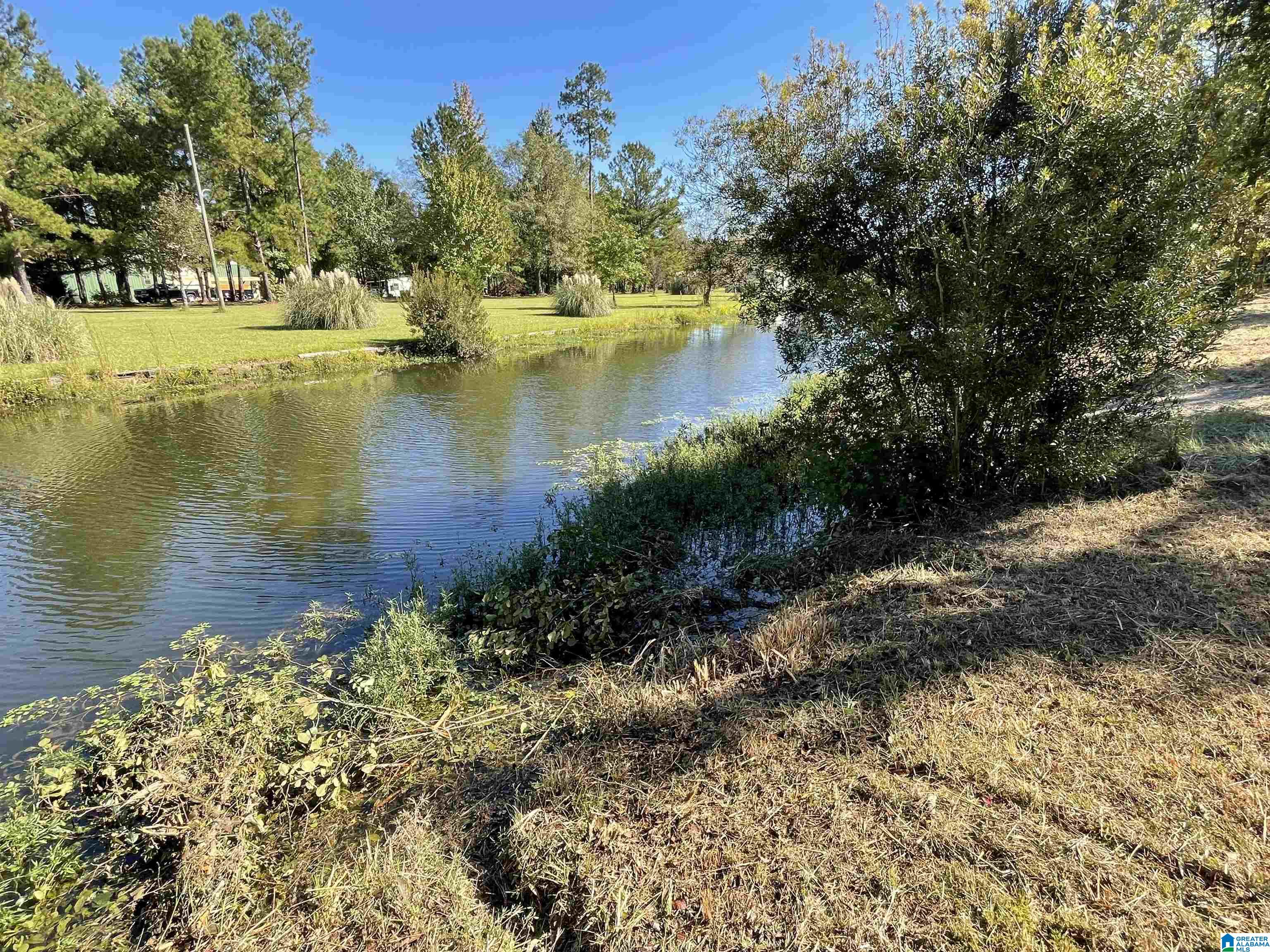 0 Paradise Point Drive Columbiana, AL 35051 - Photo 7 of 23