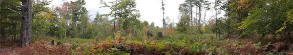 $434,700 | Dutchtown Road, Dolgeville, NY 13329