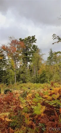 $434,700 | Dutchtown Road, Dolgeville, NY 13329