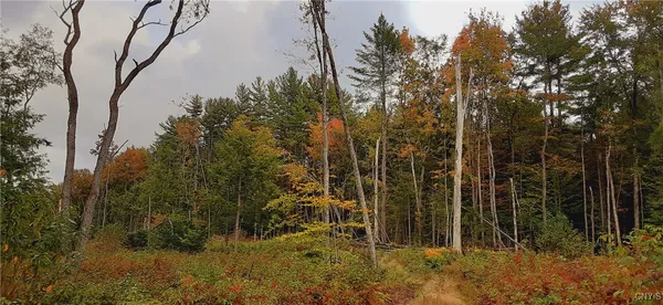 $434,700 | Dutchtown Road, Dolgeville, NY 13329