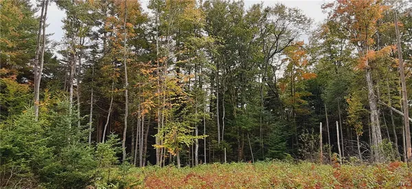 $434,700 | Dutchtown Road, Dolgeville, NY 13329