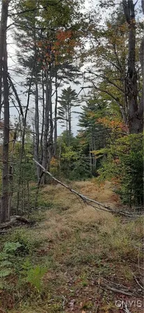 $434,700 | Dutchtown Road, Dolgeville, NY 13329