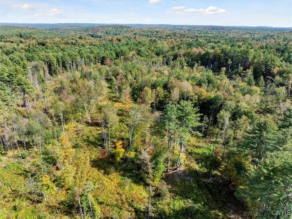 $434,700 | Dutchtown Road, Dolgeville, NY 13329